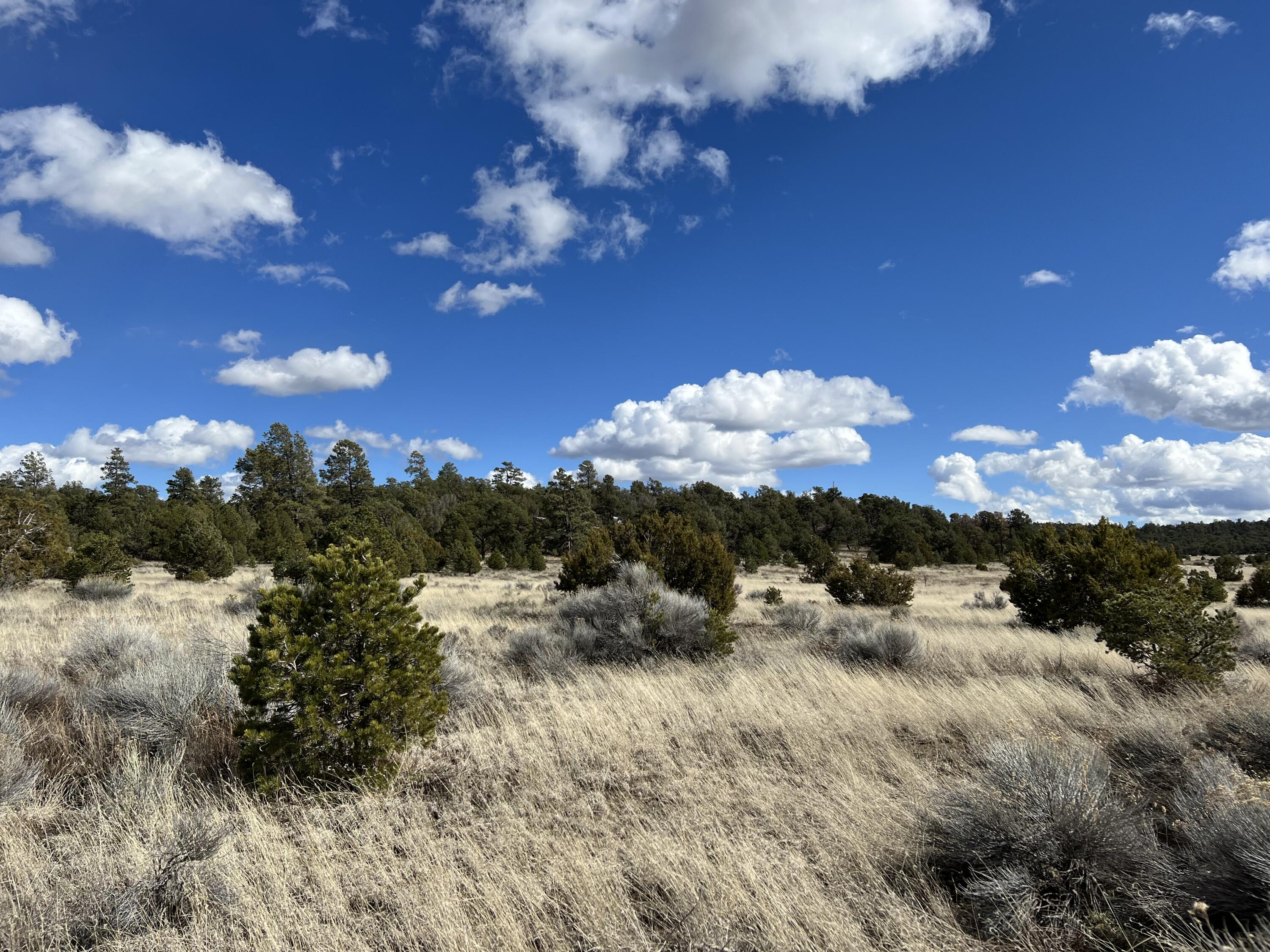 Lot 14 Candy Kitchen Road, Ramah, New Mexico image 31