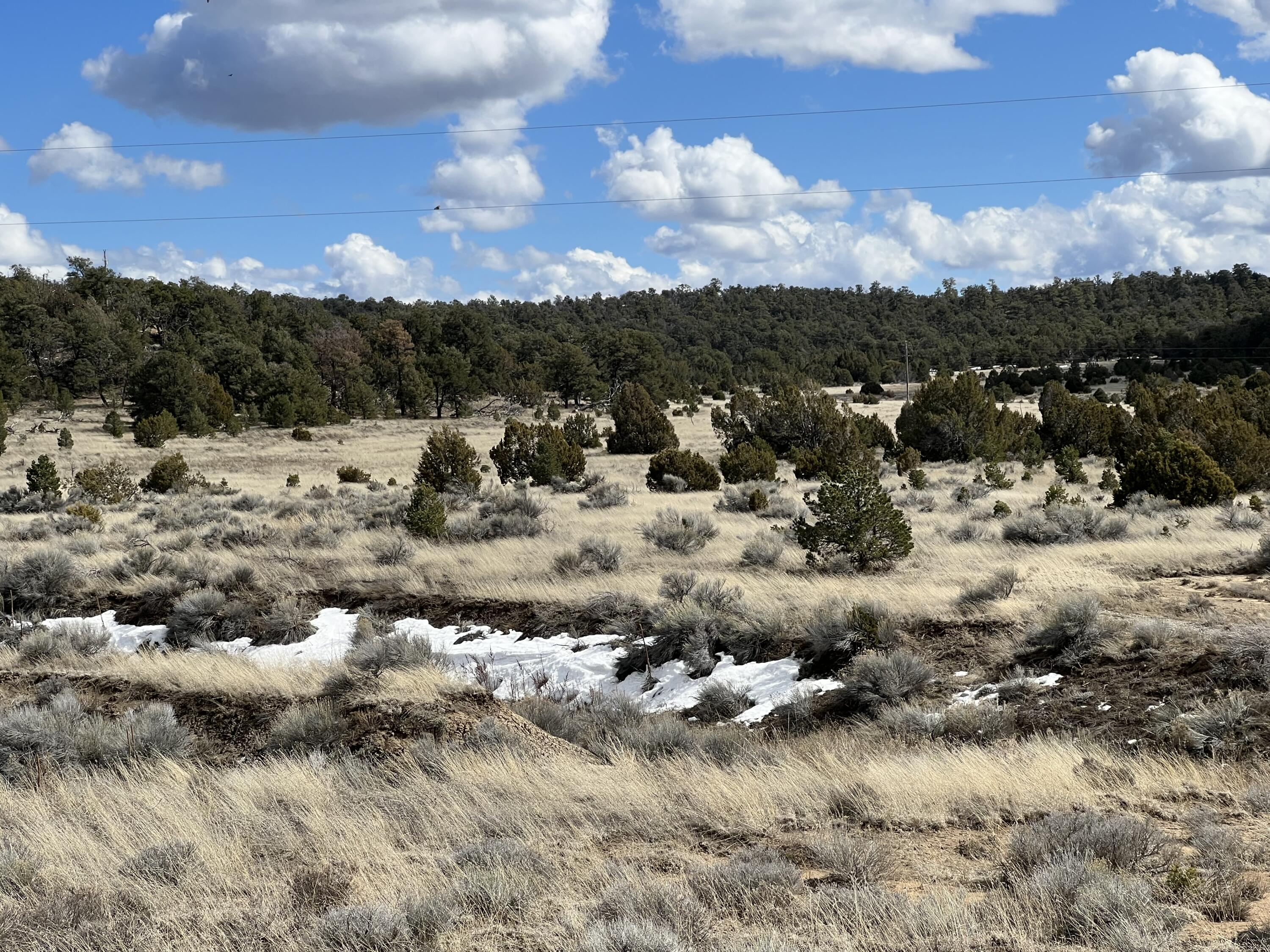 Lot 14 Candy Kitchen Road, Ramah, New Mexico image 25