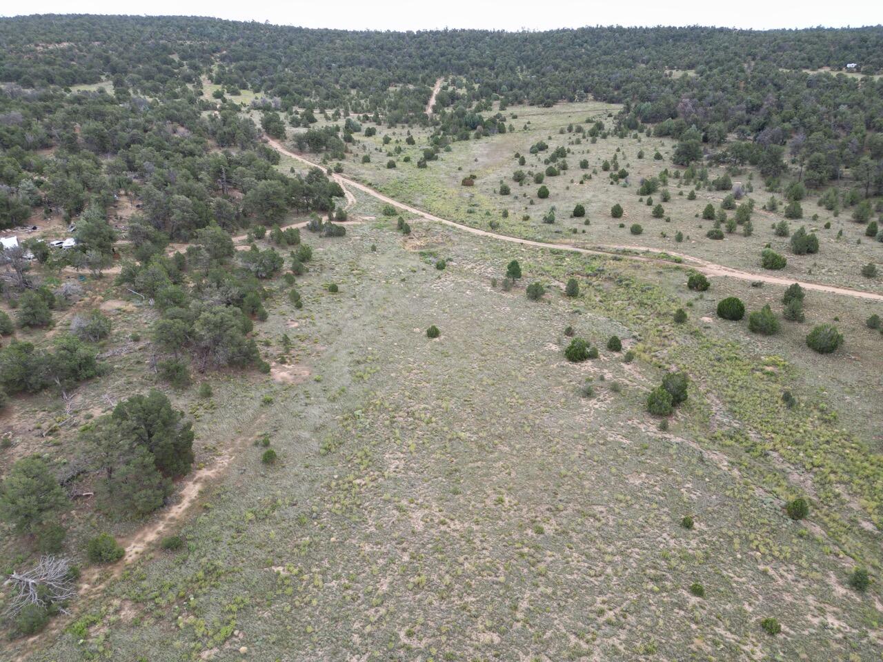 Lot 14 Candy Kitchen Road, Ramah, New Mexico image 37