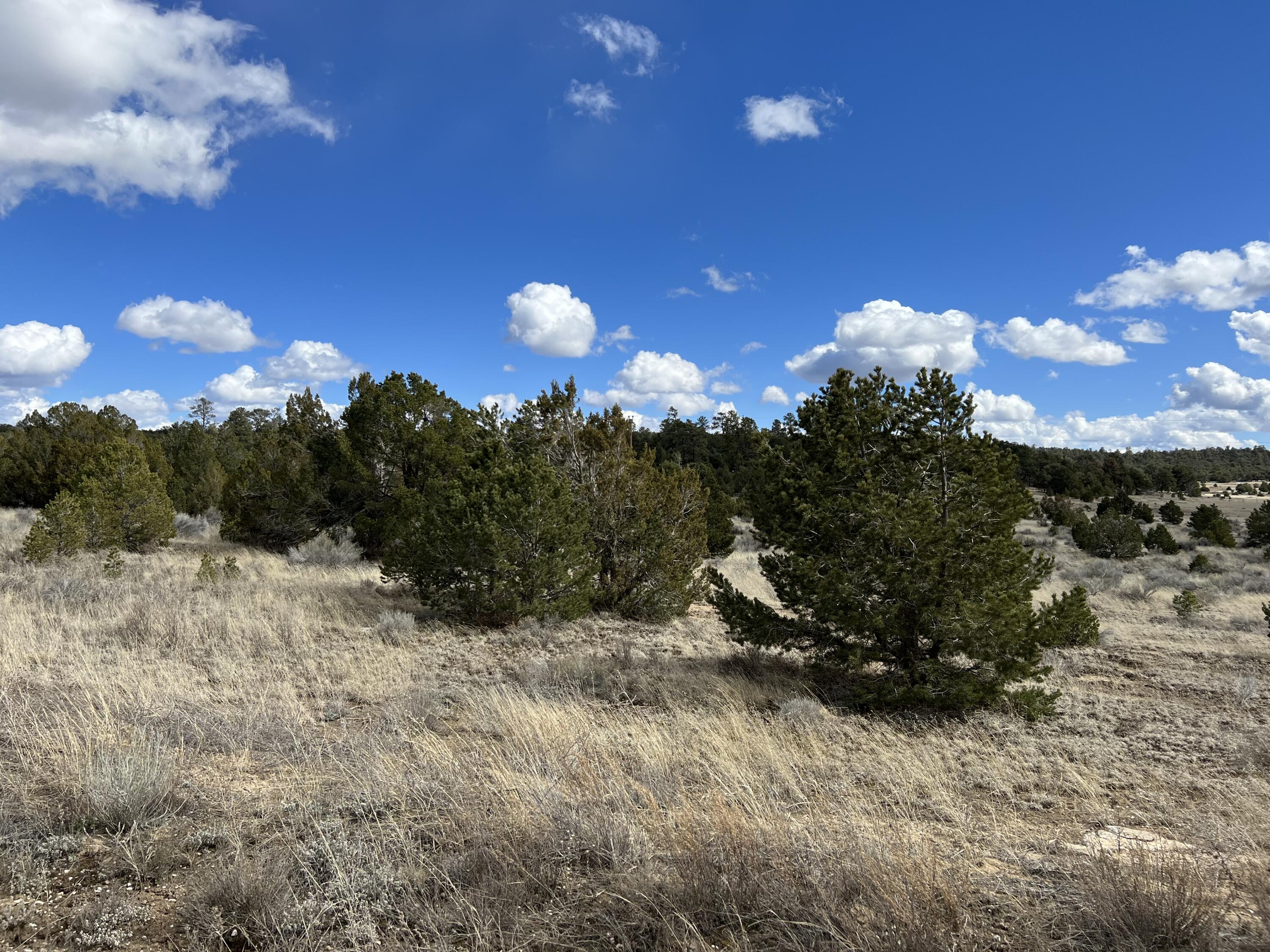 Lot 14 Candy Kitchen Road, Ramah, New Mexico image 21