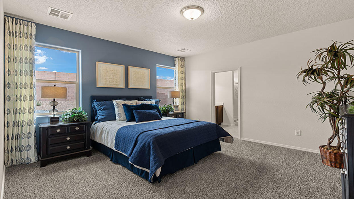 7 Camino Viejo, Los Lunas, New Mexico image 13