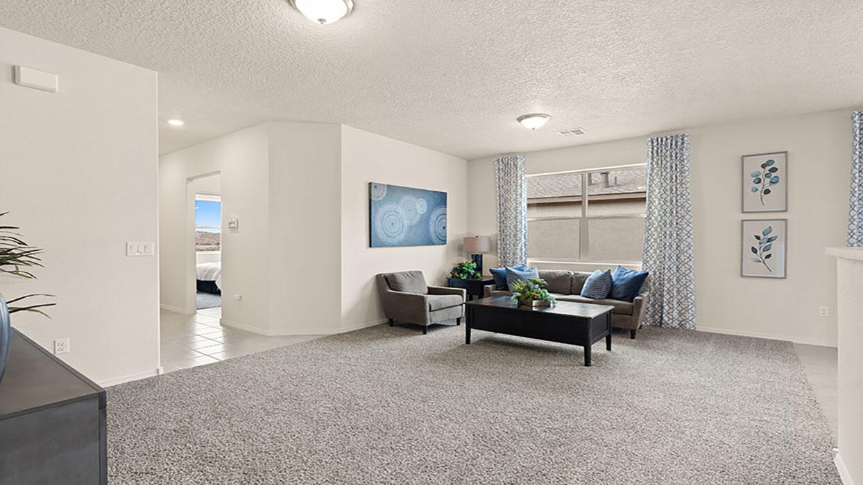 7 Camino Viejo, Los Lunas, New Mexico image 3