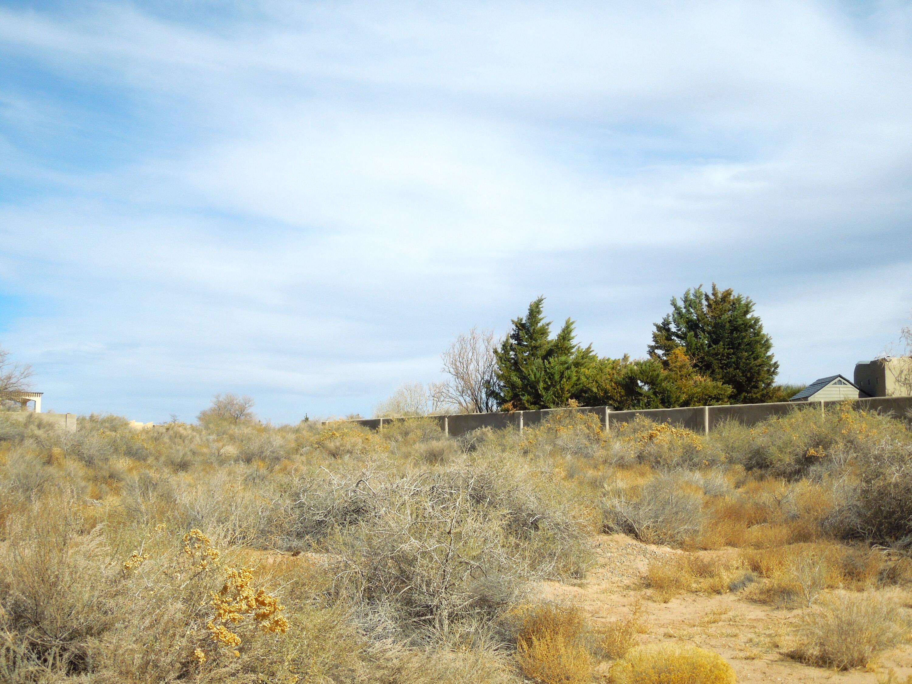 Rio Lama Road, Rio Rancho, New Mexico image 5