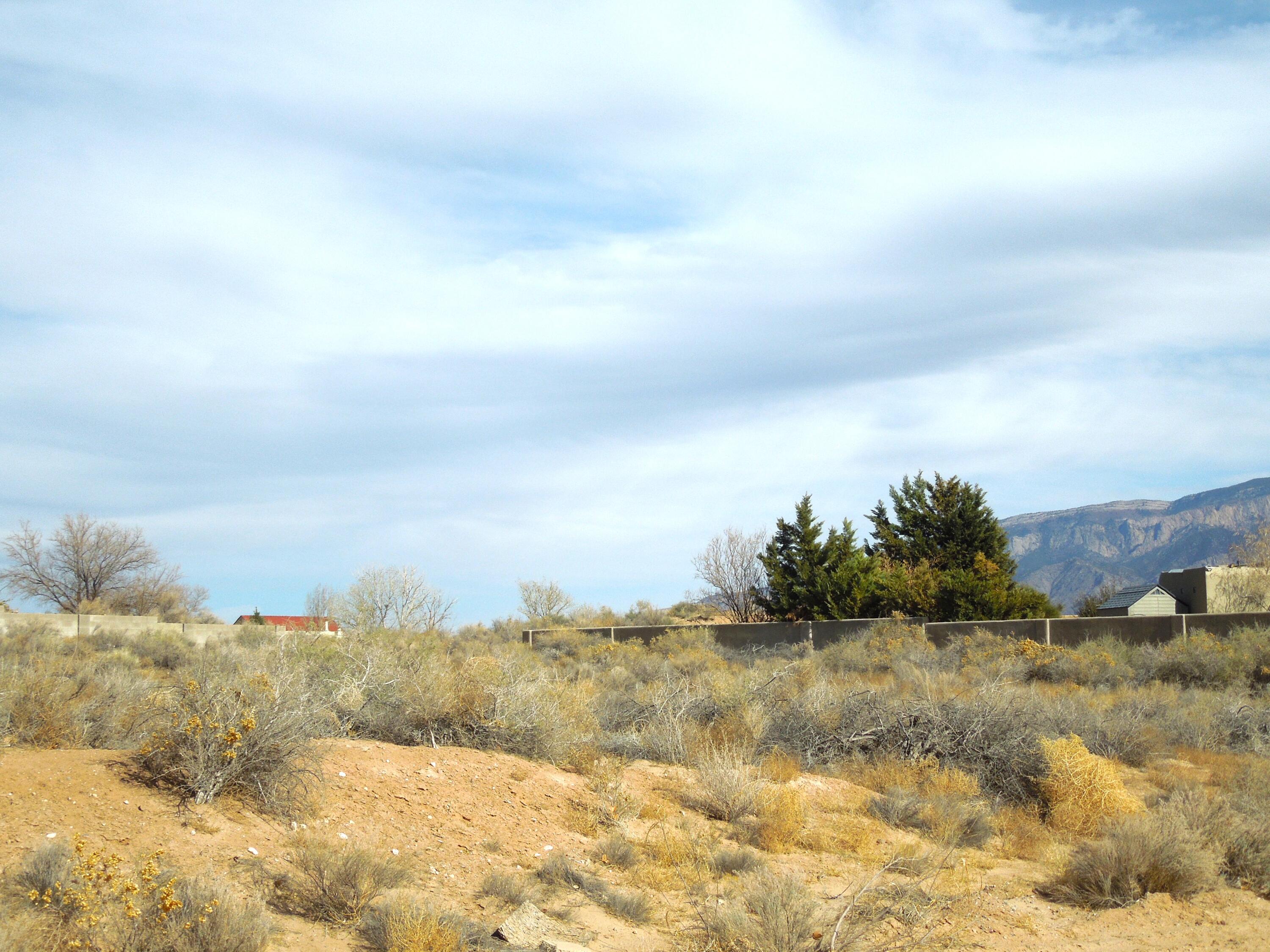 Rio Lama Road, Rio Rancho, New Mexico image 2