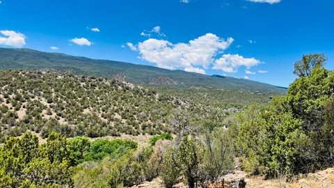 Vacant Land For Sale - 18 Larry Lane<br/> Cedar Crest, NM 87008