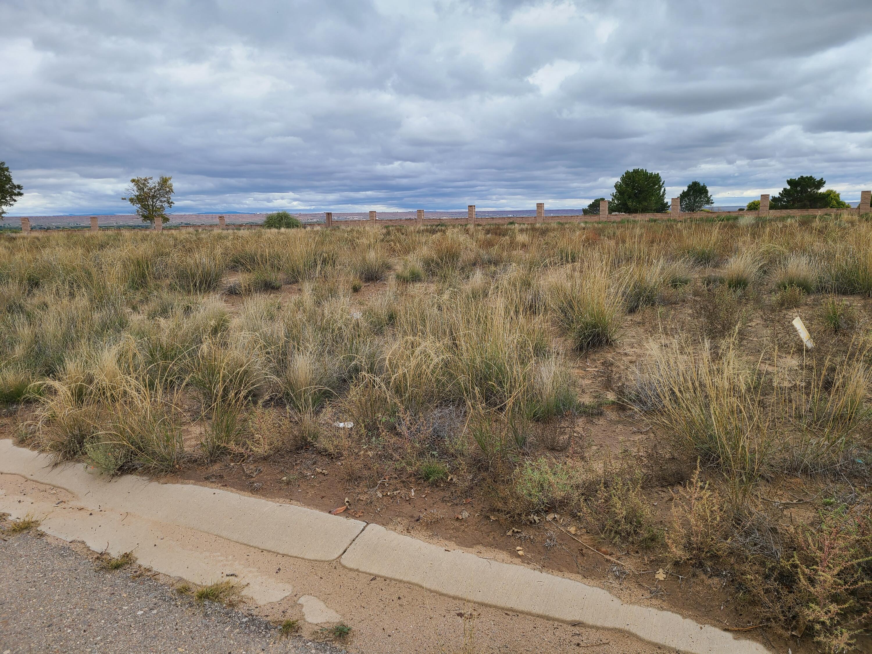 Tres Cantos Avenue #1, Rio Communities, New Mexico image 19