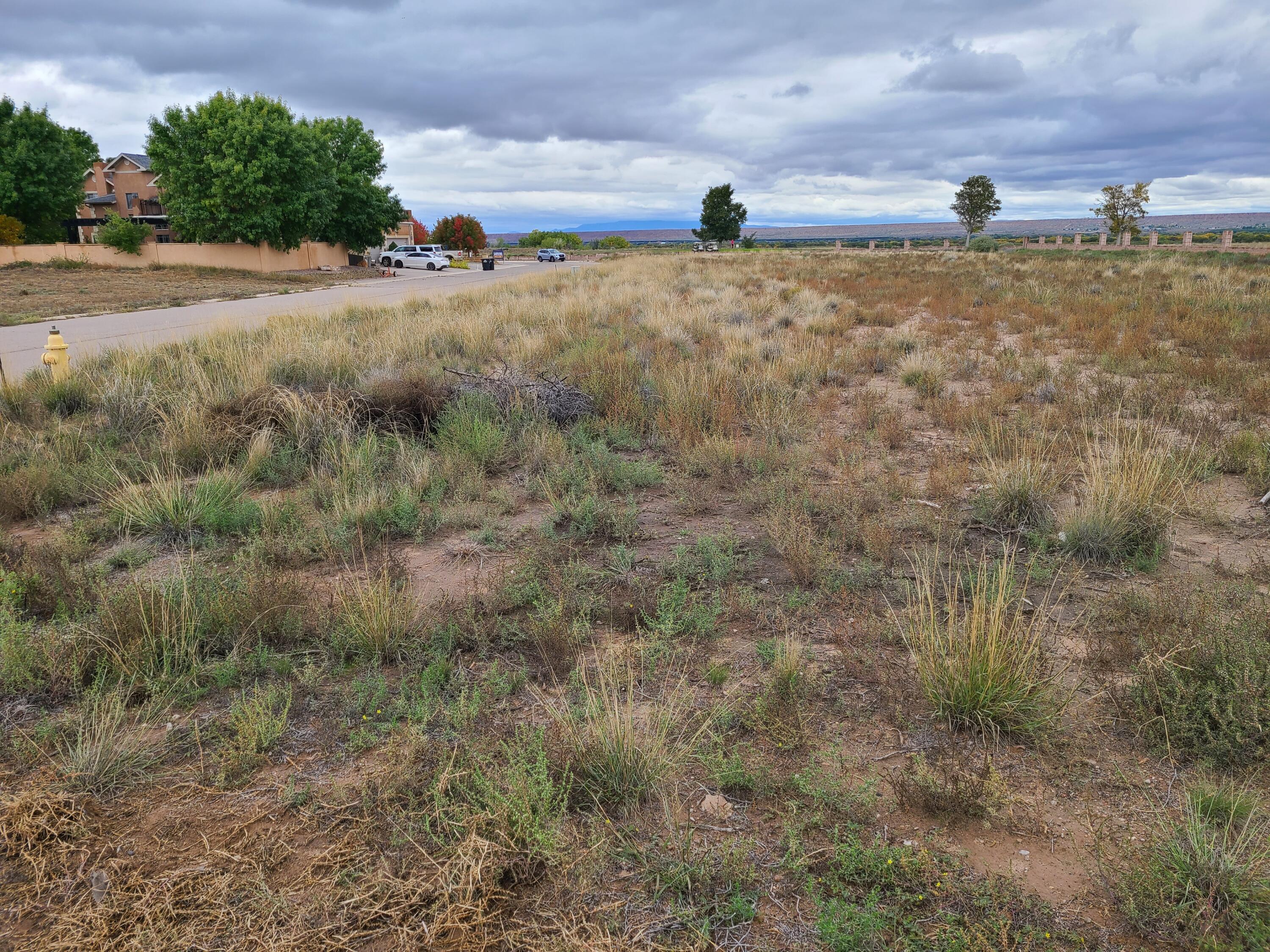 Tres Cantos Avenue #1, Rio Communities, New Mexico image 26