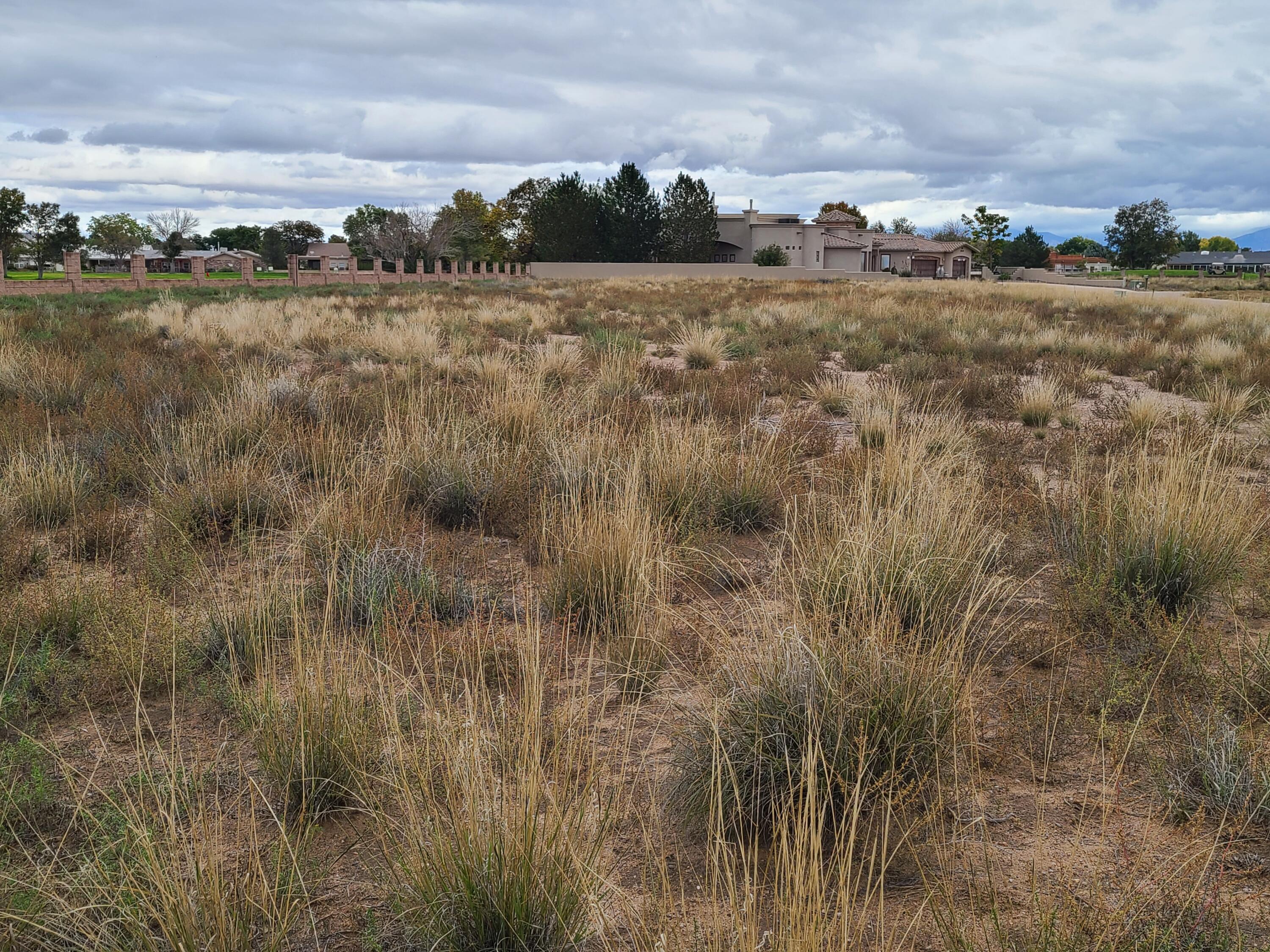 Tres Cantos Avenue #1, Rio Communities, New Mexico image 45