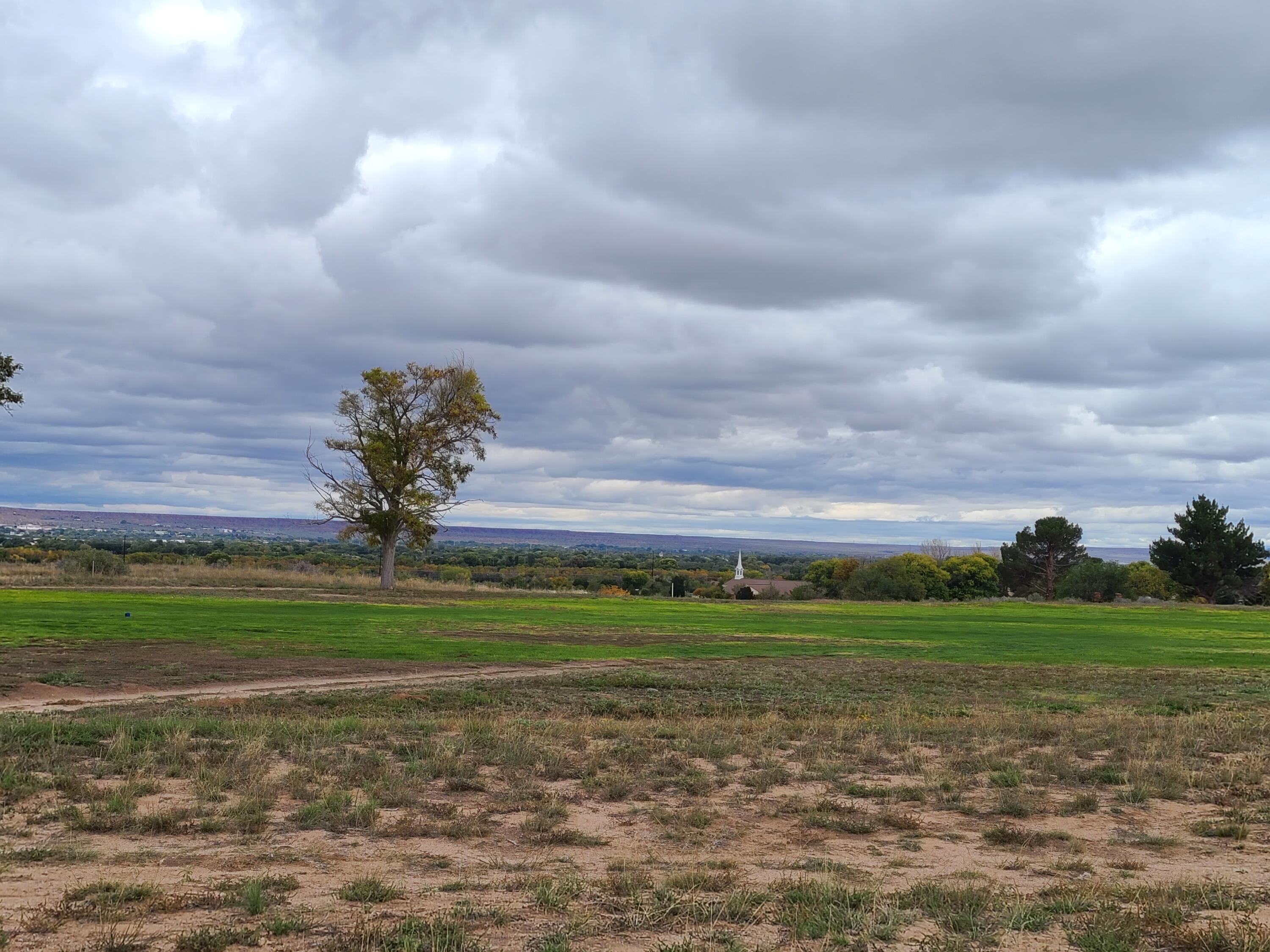 Tres Cantos Avenue #1, Rio Communities, New Mexico image 13