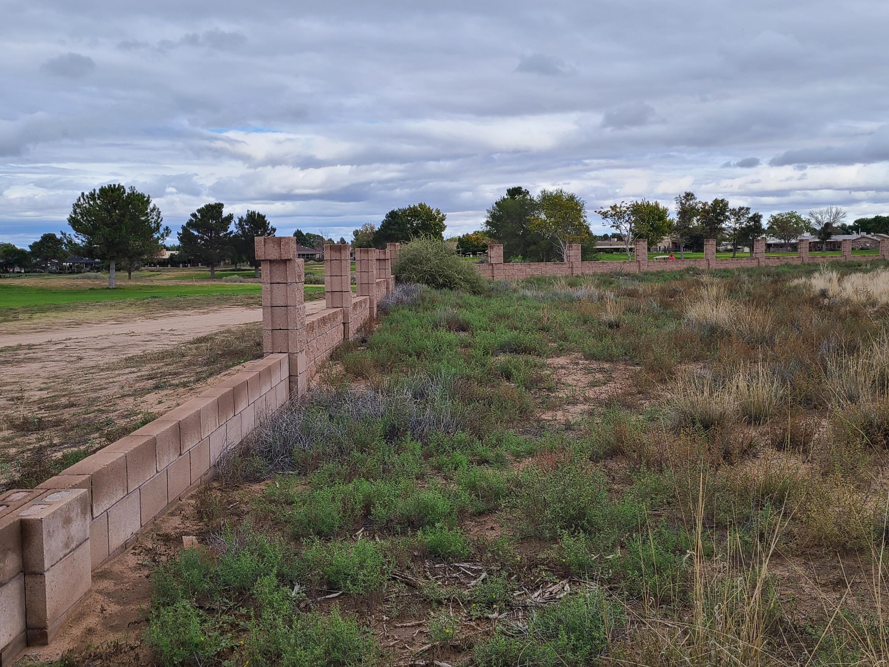 Tres Cantos Avenue #1, Rio Communities, New Mexico image 44