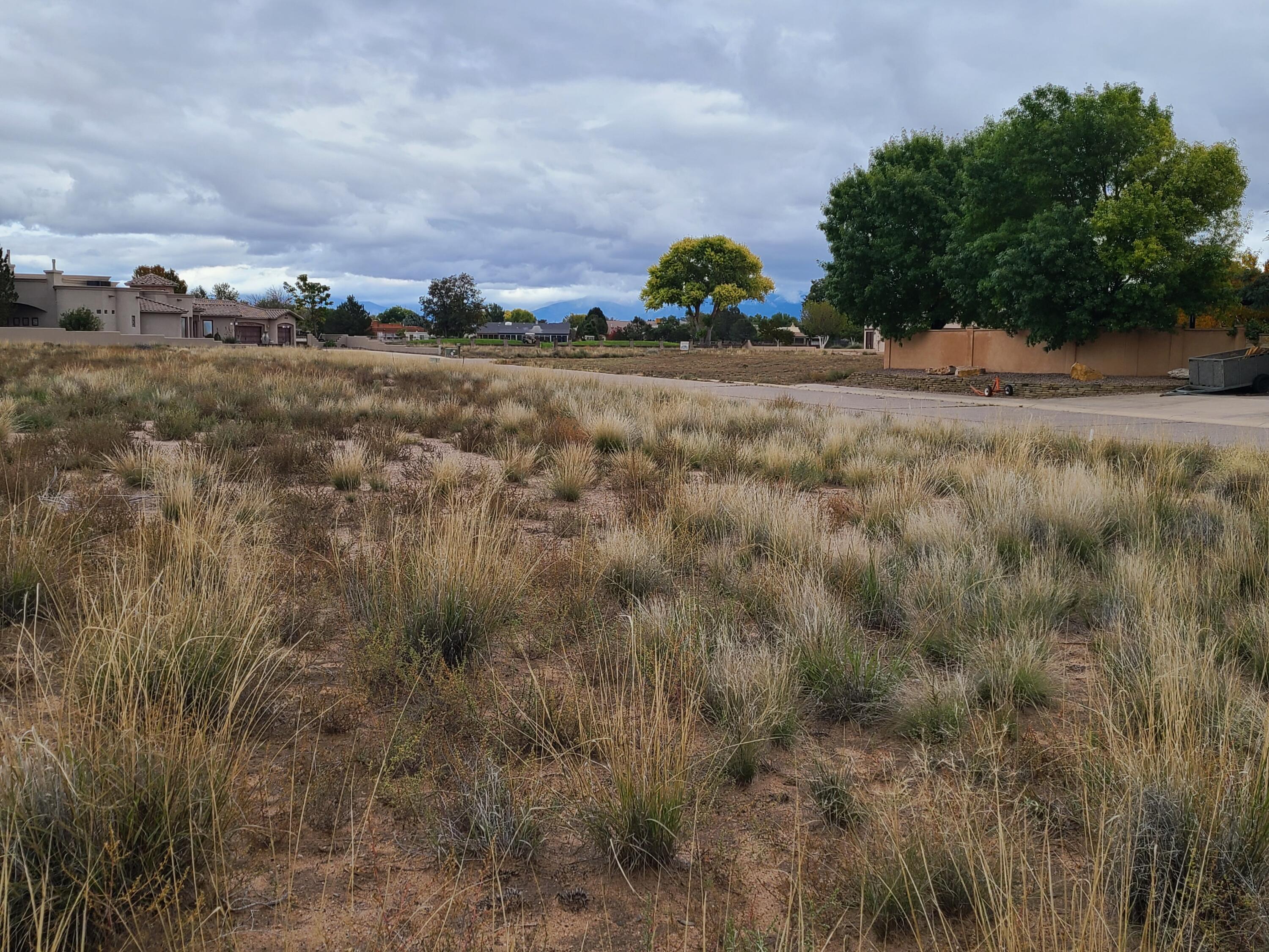 Tres Cantos Avenue #1, Rio Communities, New Mexico image 46