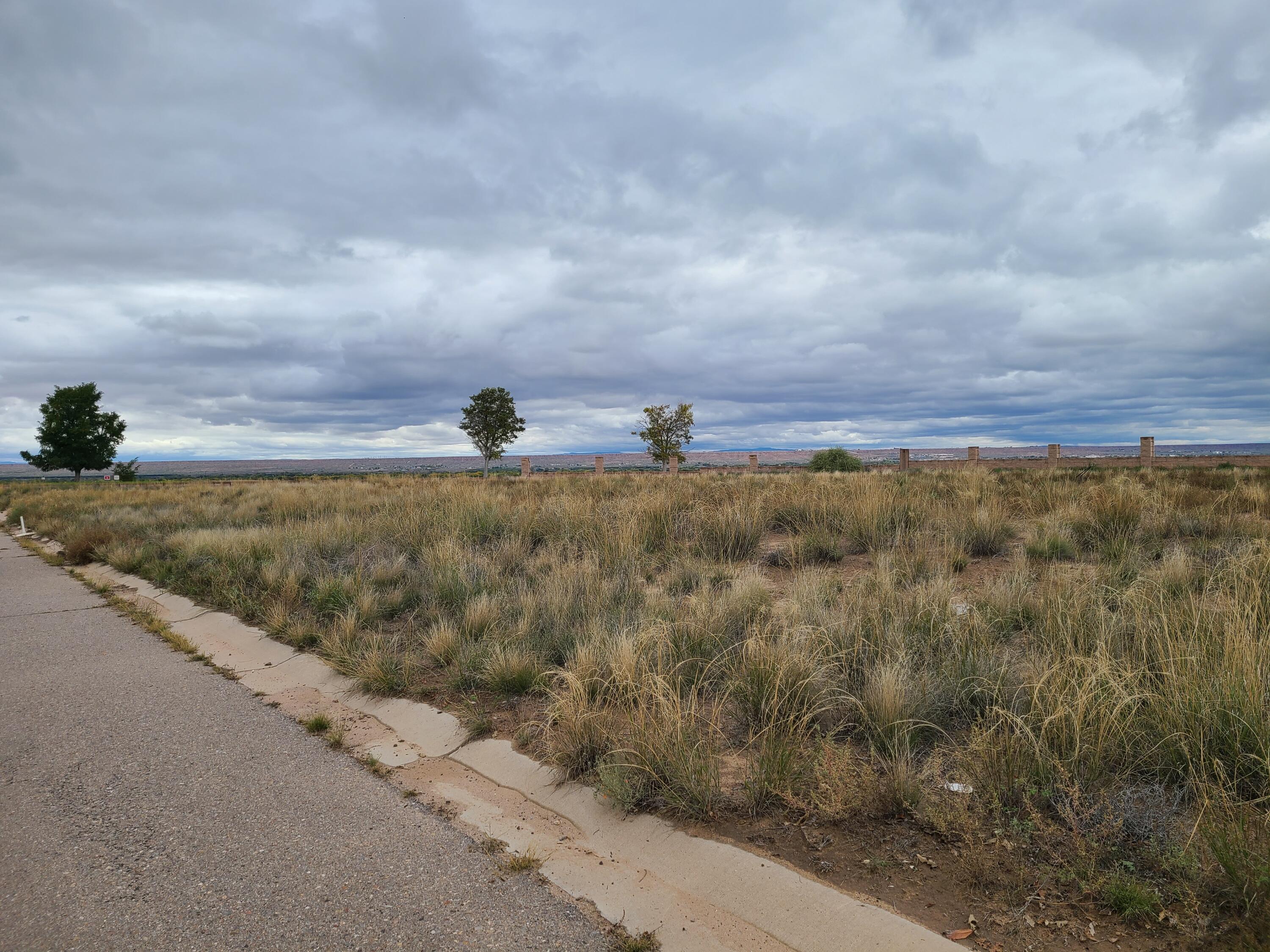 Tres Cantos Avenue #1, Rio Communities, New Mexico image 20