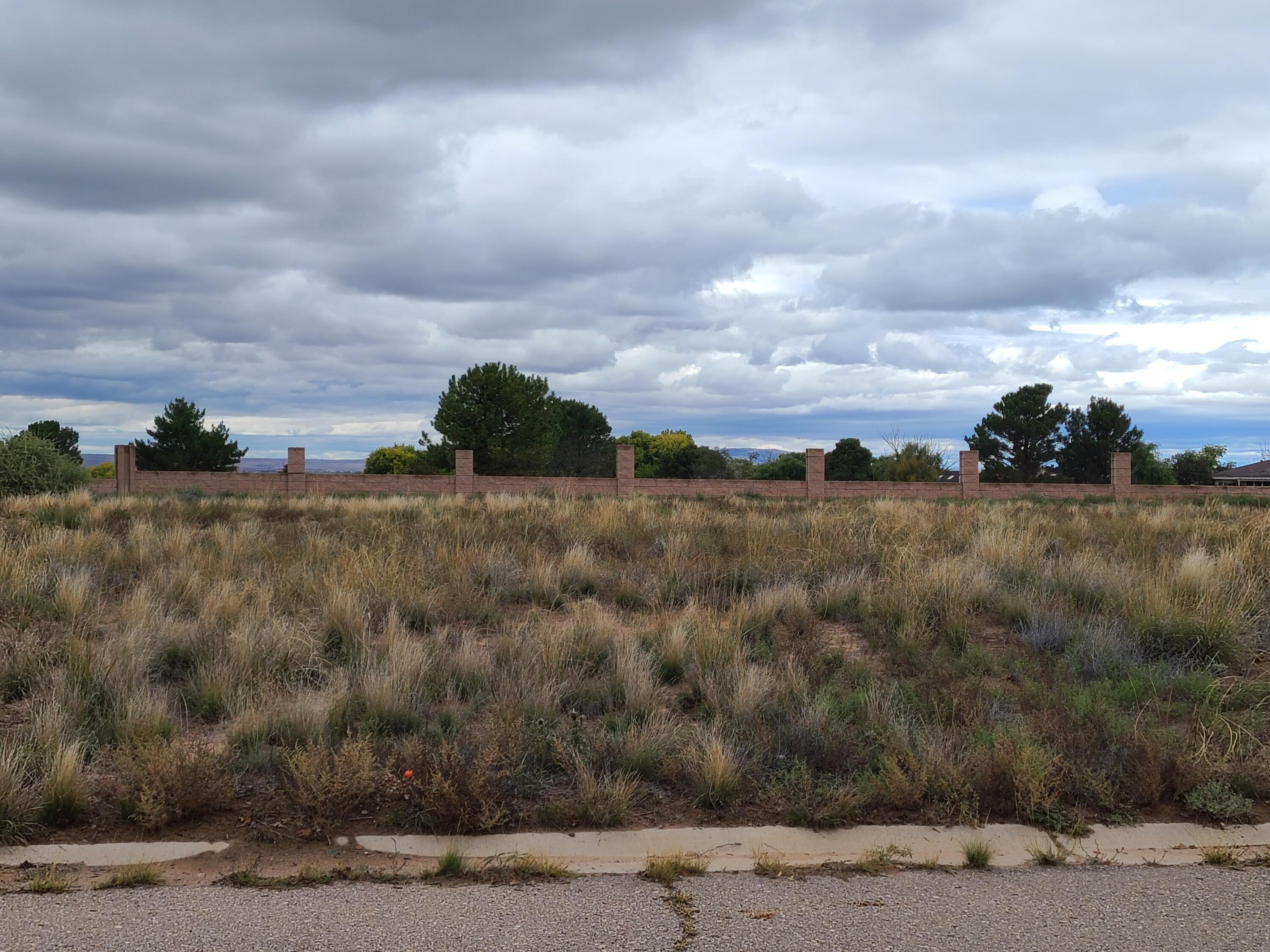 Tres Cantos Avenue #1, Rio Communities, New Mexico image 17