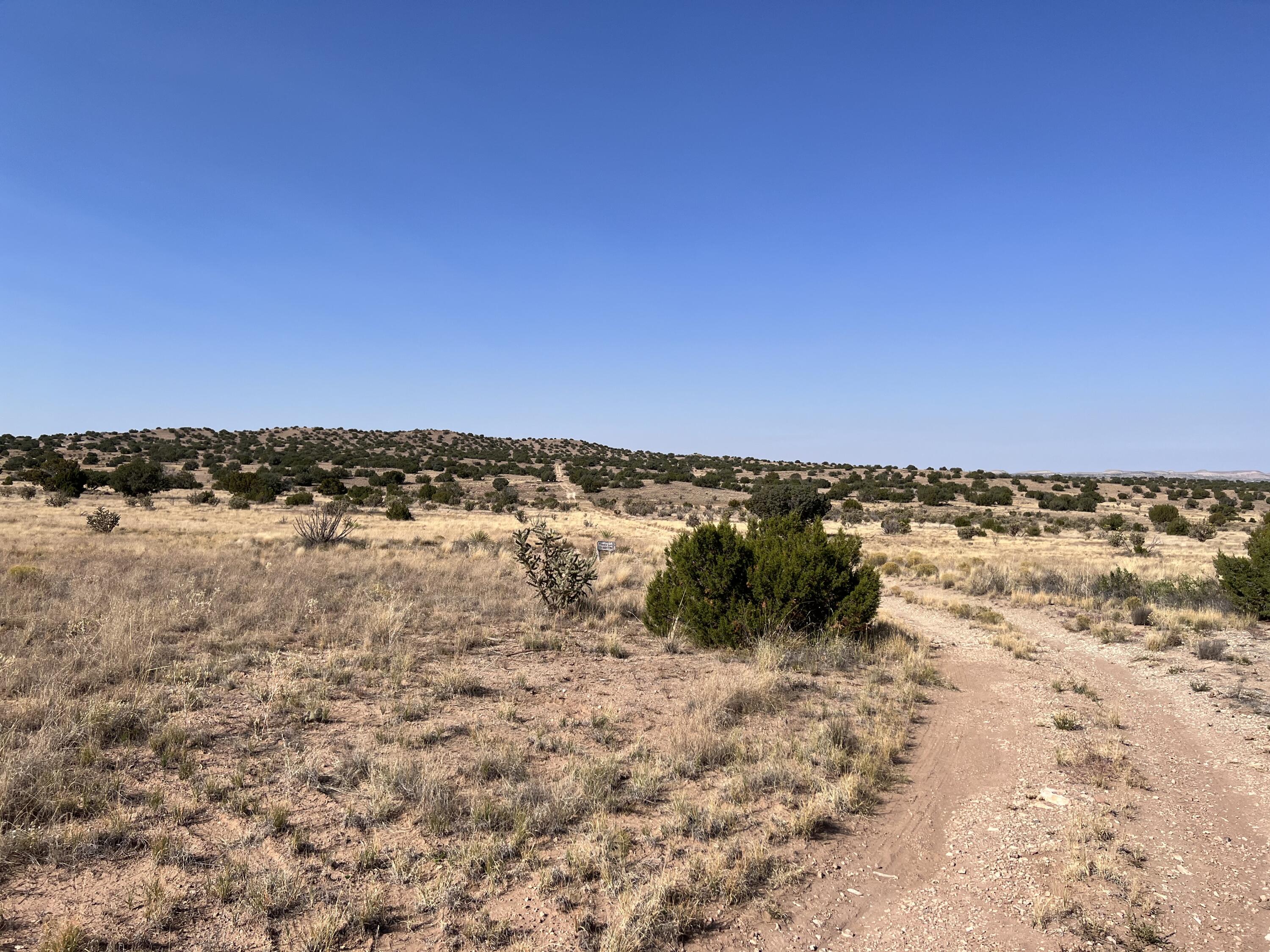 Lot 3904 Blk 1 Valle De Manana, Lemitar, New Mexico image 3