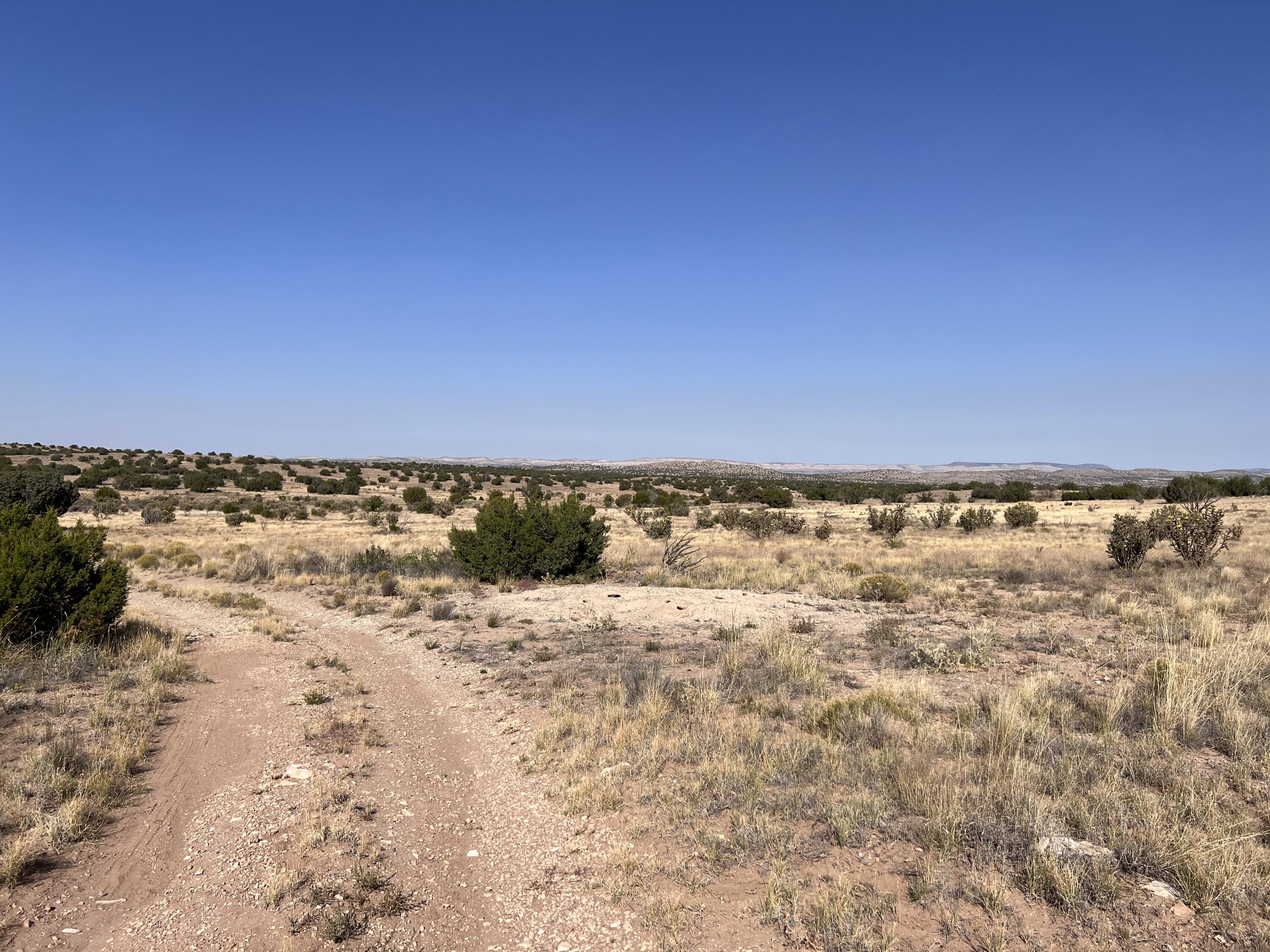 Lot 3904 Blk 1 Valle De Manana, Lemitar, New Mexico image 2