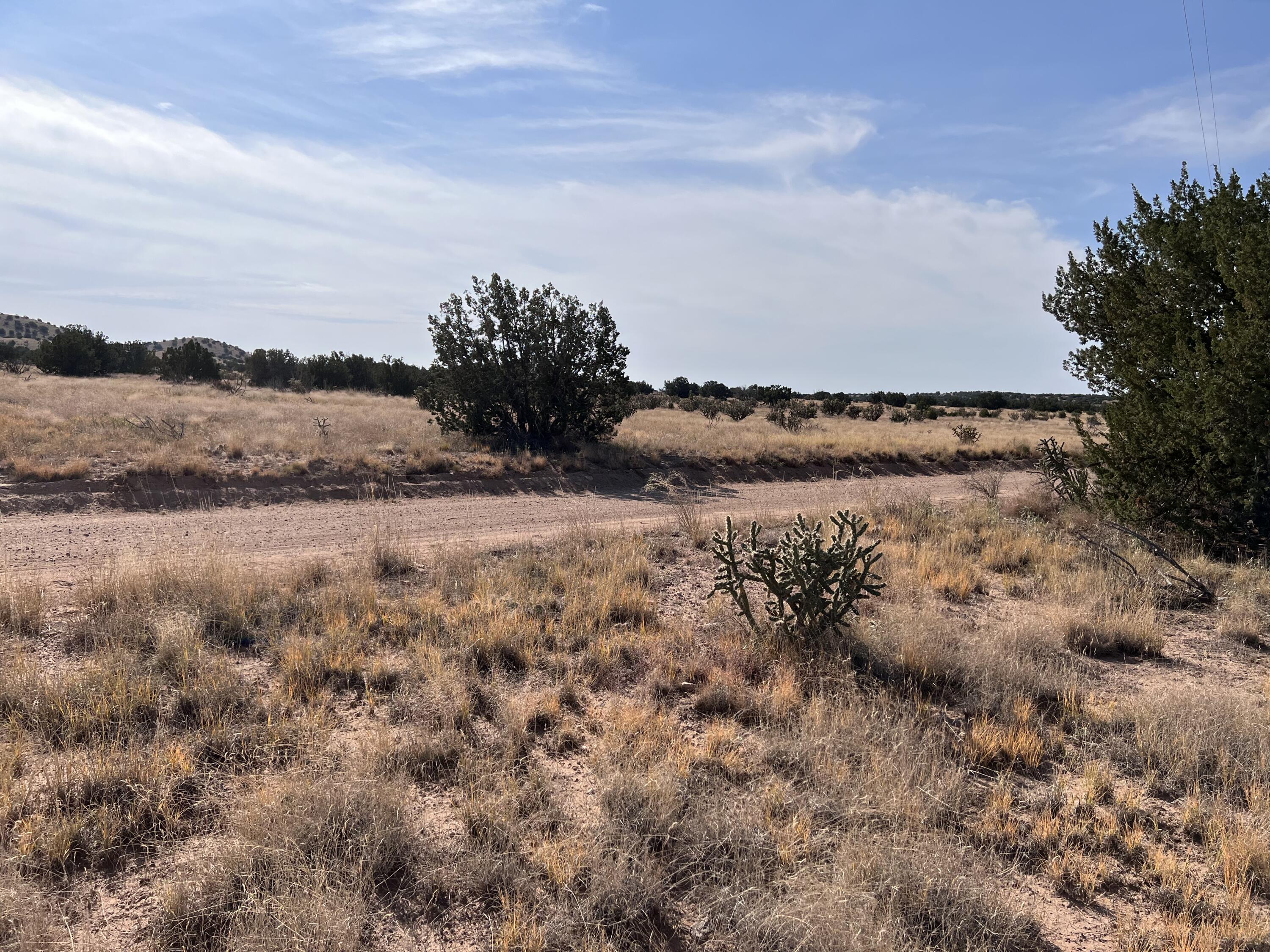 Lot 3904 Blk 1 Valle De Manana, Lemitar, New Mexico image 4