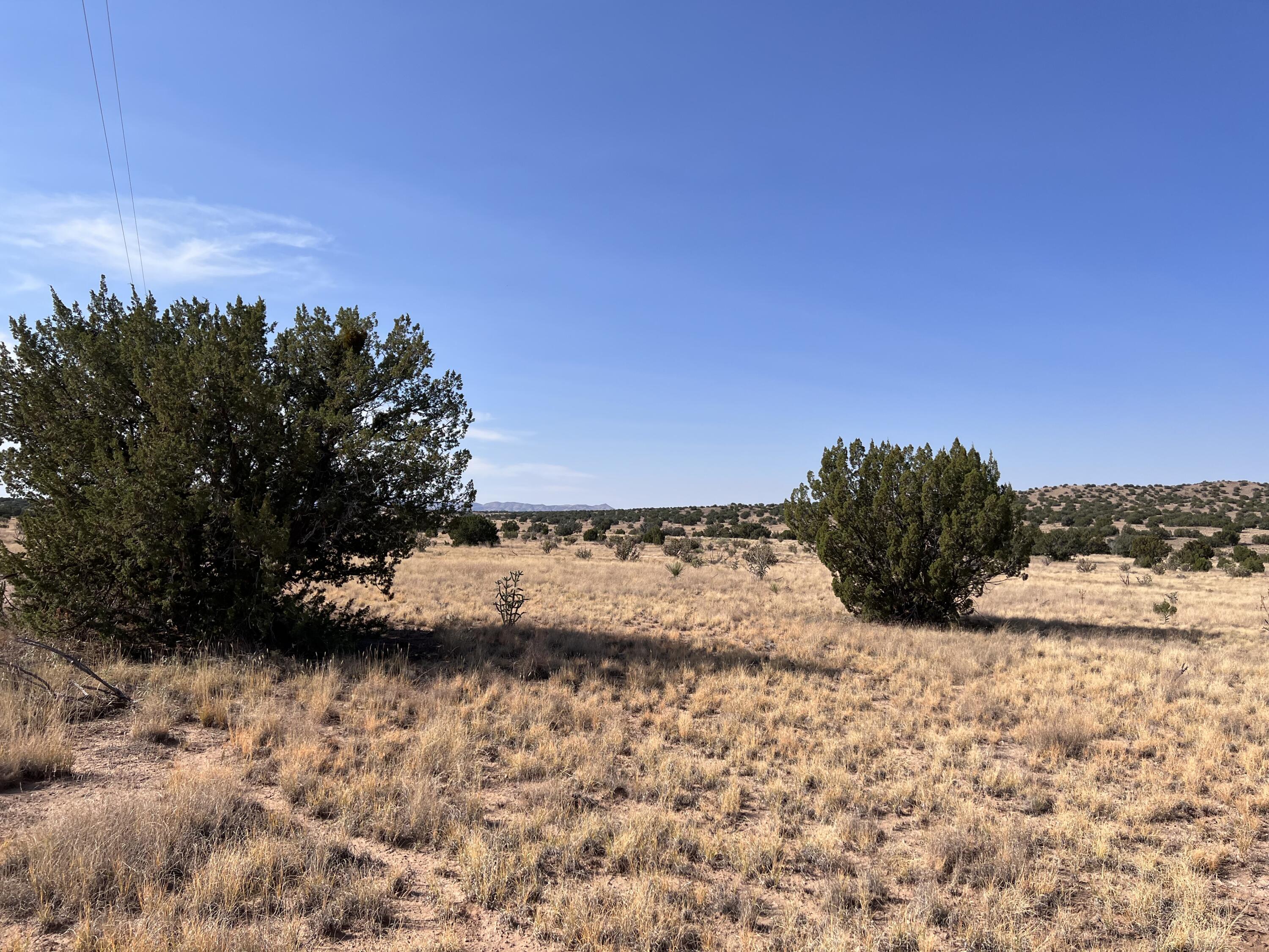 Lot 3904 Blk 1 Valle De Manana, Lemitar, New Mexico image 5