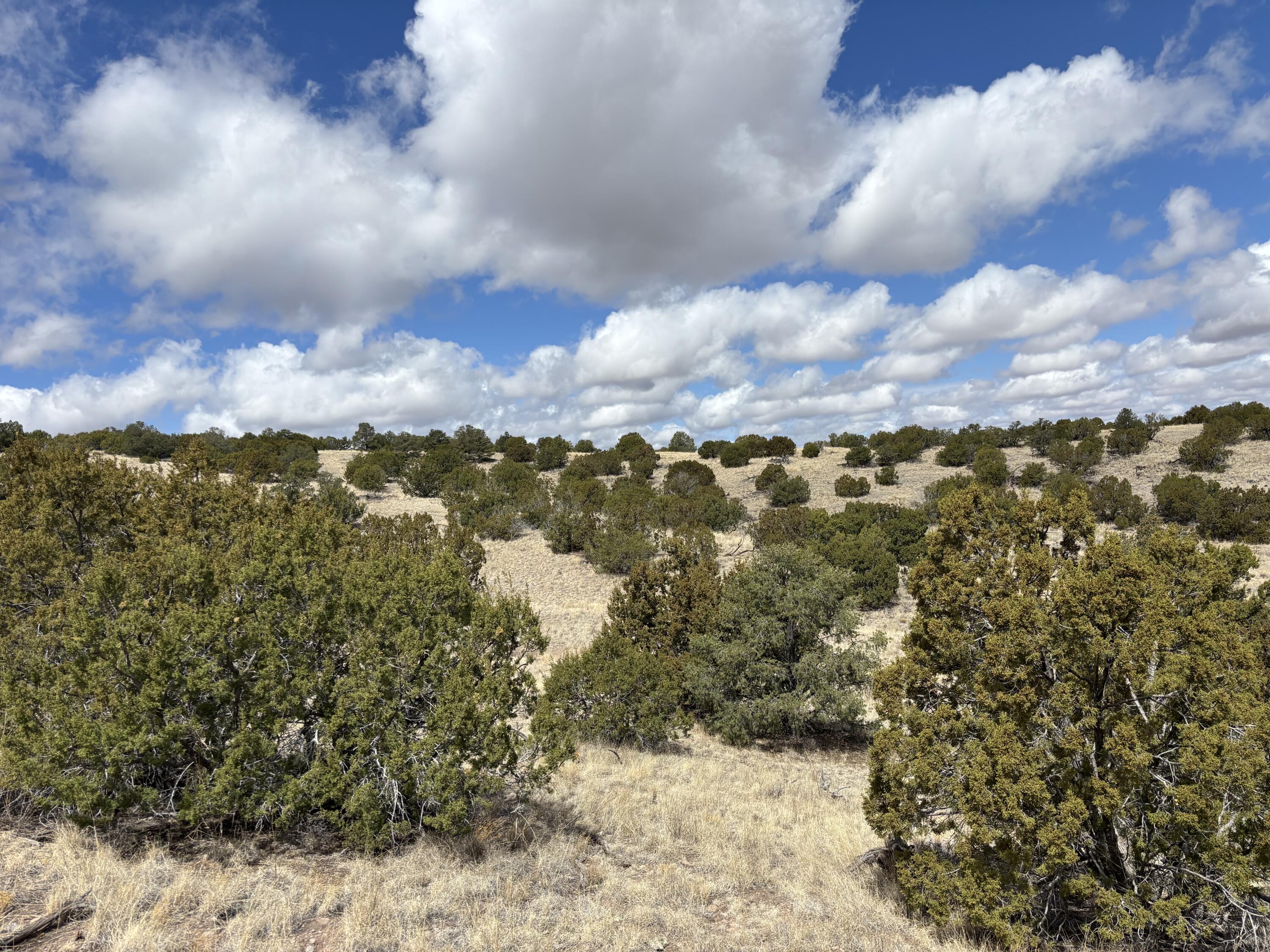 Lot 57 Pinon Springs Ranch, Magdalena, New Mexico image 6