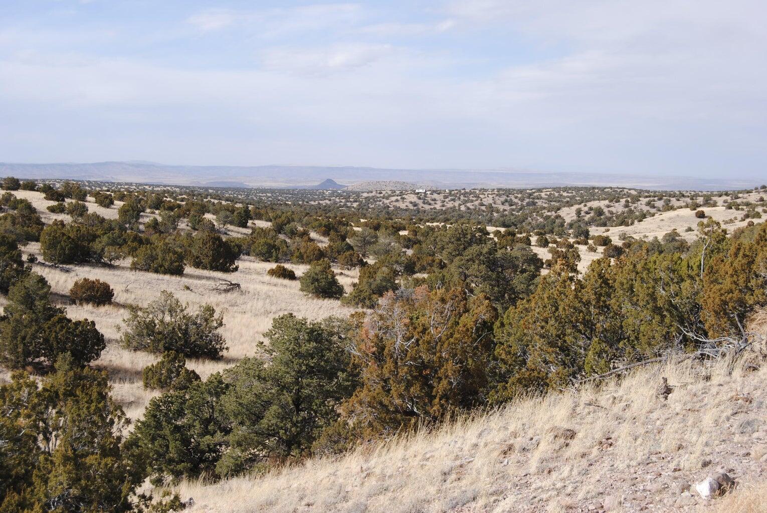 Lot 57 Pinon Springs Ranch, Magdalena, New Mexico image 1