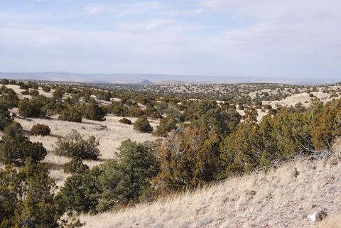 Vacant Land For Sale - Lot 57 Pinon Springs Ranch<br/> Magdalena, NM 87825