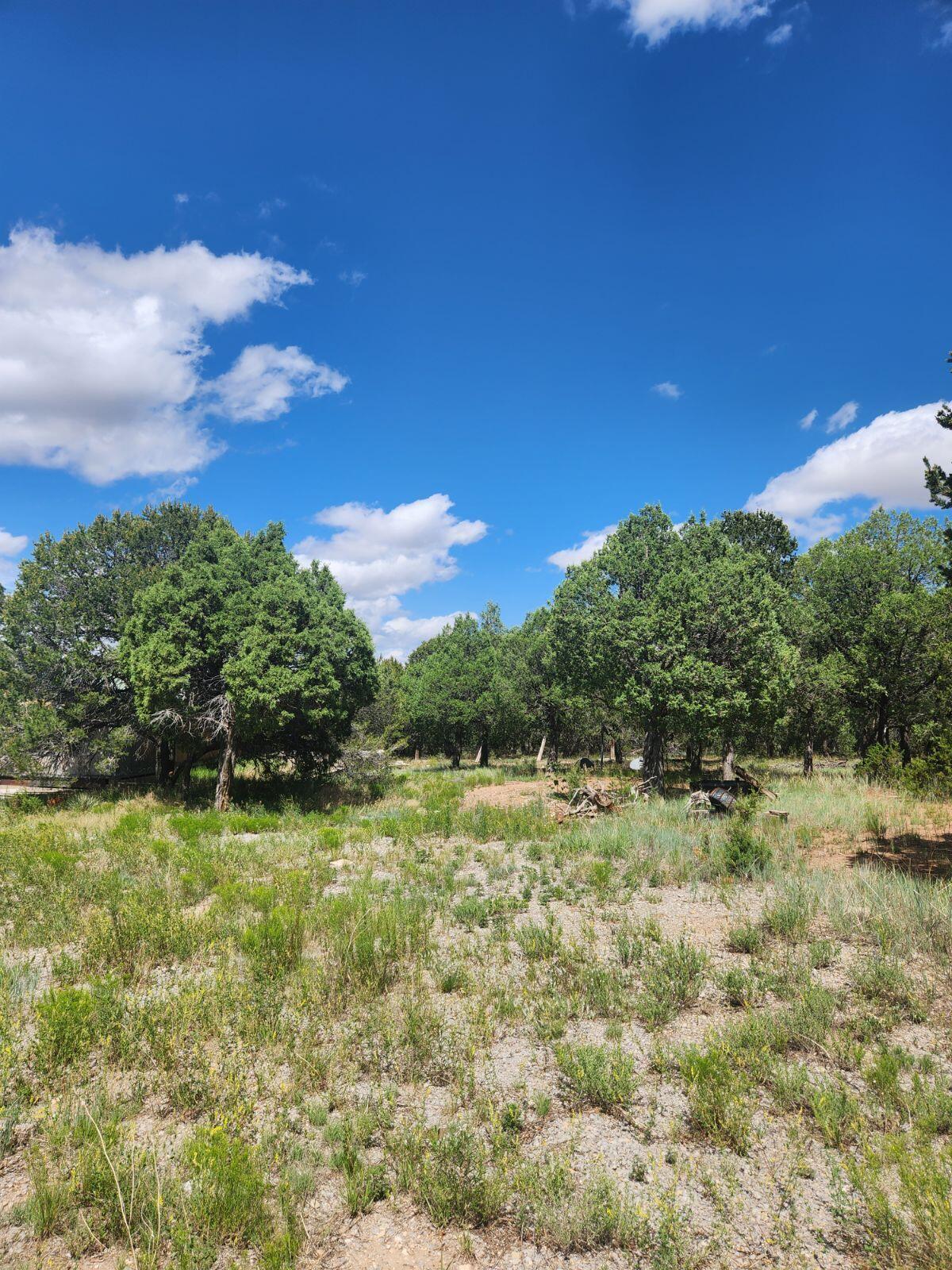 57 Ballinger Ranch Road, Edgewood, New Mexico image 4