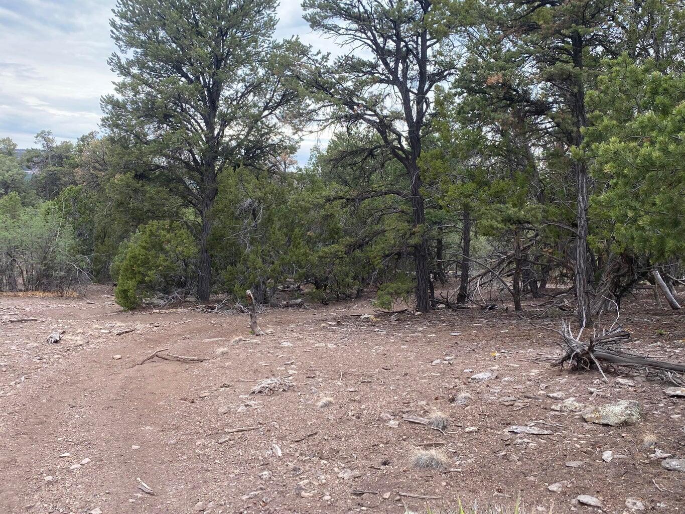 Lot 23 Sunflower Drive, Ramah, New Mexico image 25