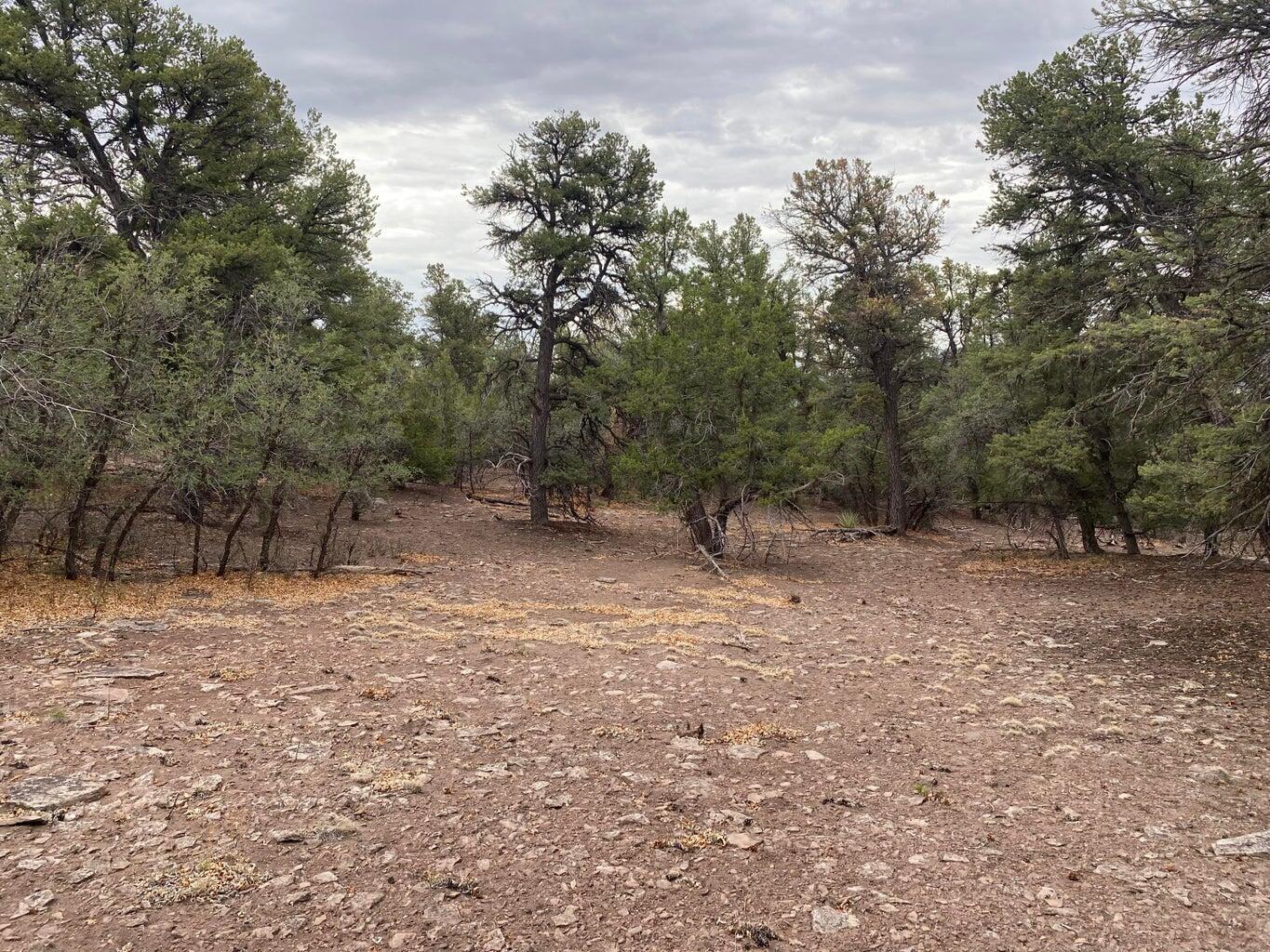 Lot 23 Sunflower Drive, Ramah, New Mexico image 48