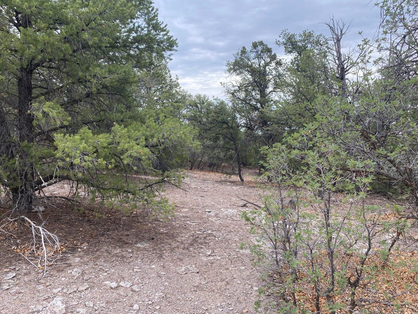 Lot 23 Sunflower Drive, Ramah, New Mexico image 46