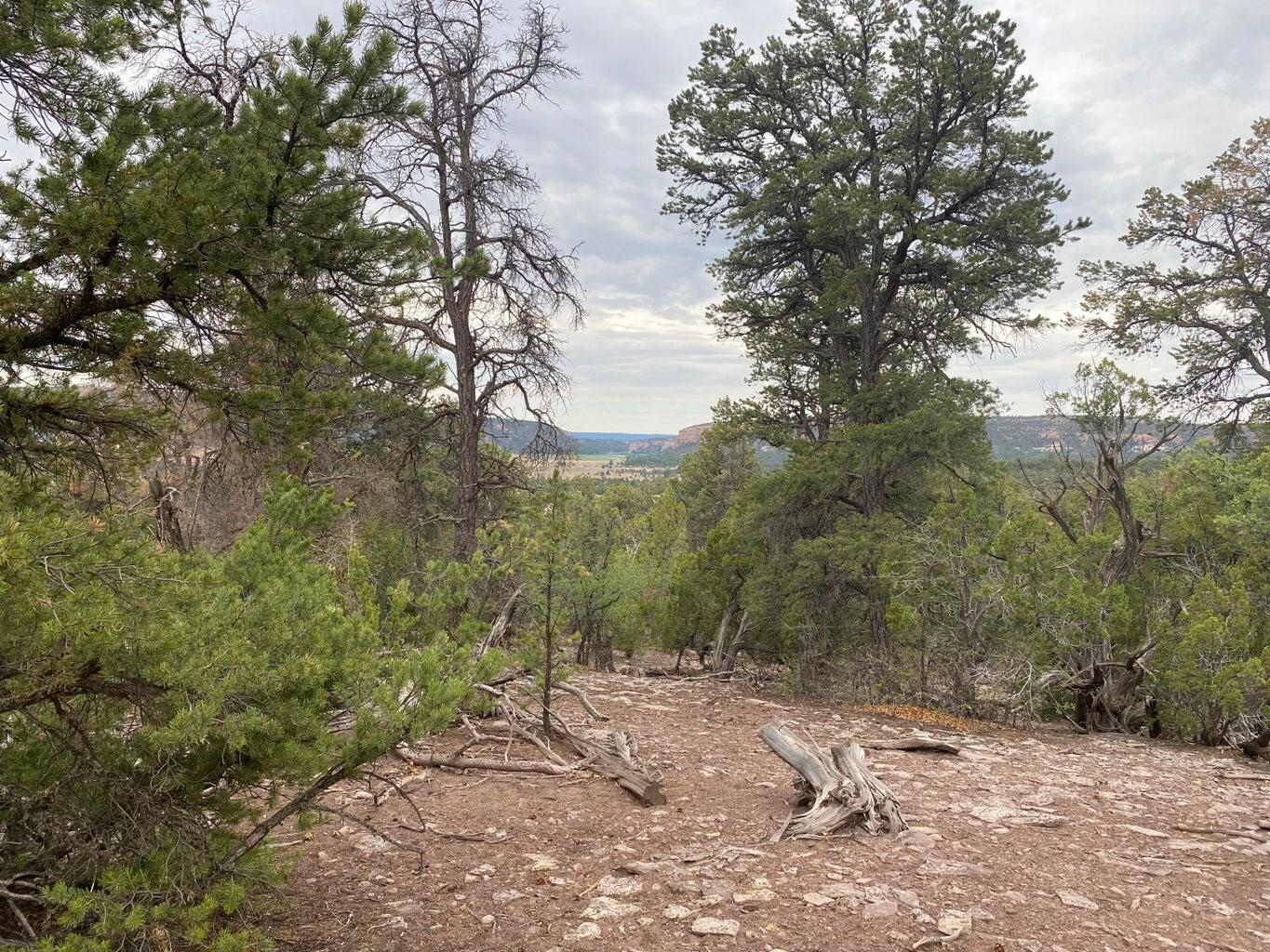 Lot 23 Sunflower Drive, Ramah, New Mexico image 34