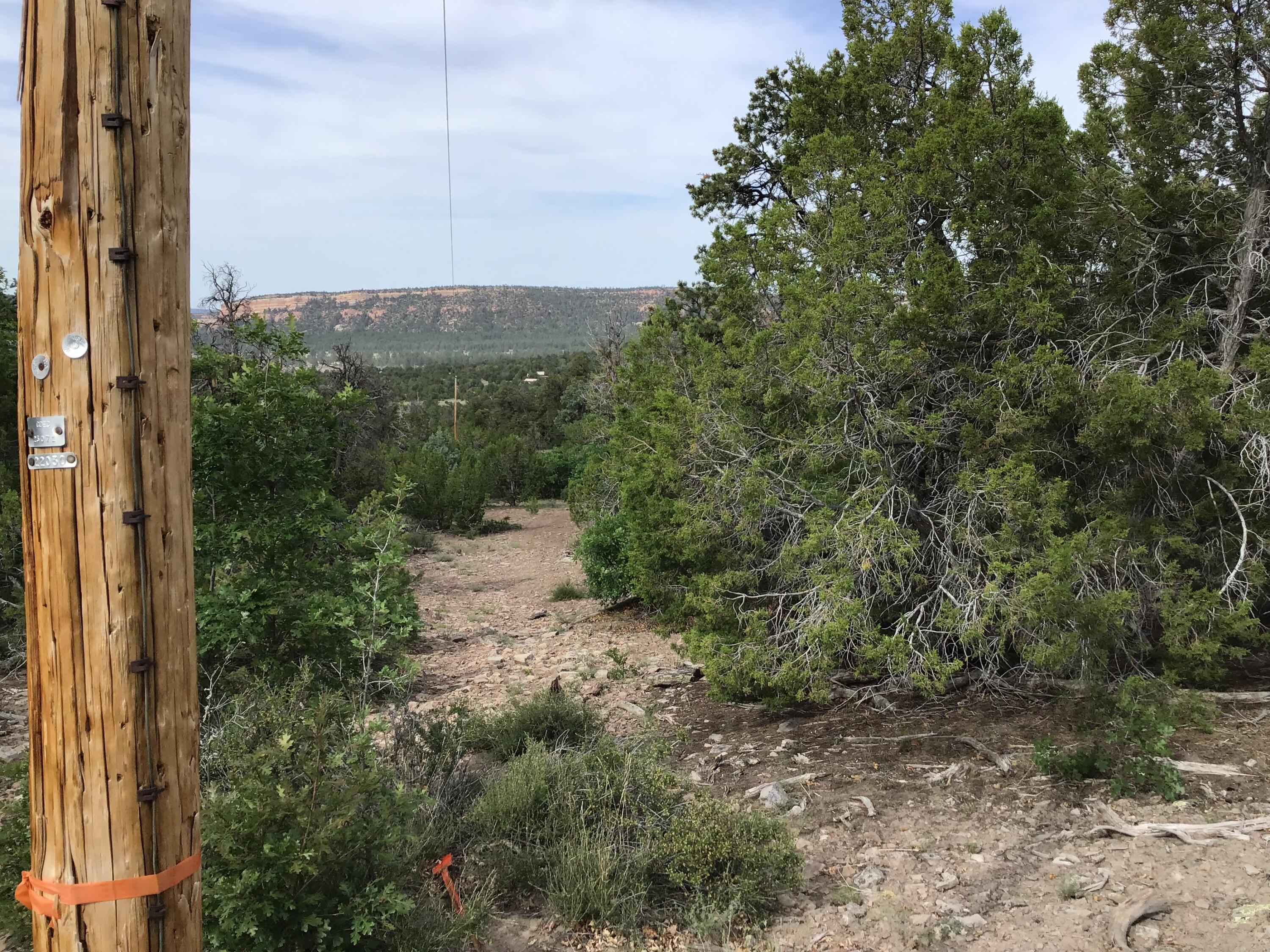 Lot 23 Sunflower Drive, Ramah, New Mexico image 4