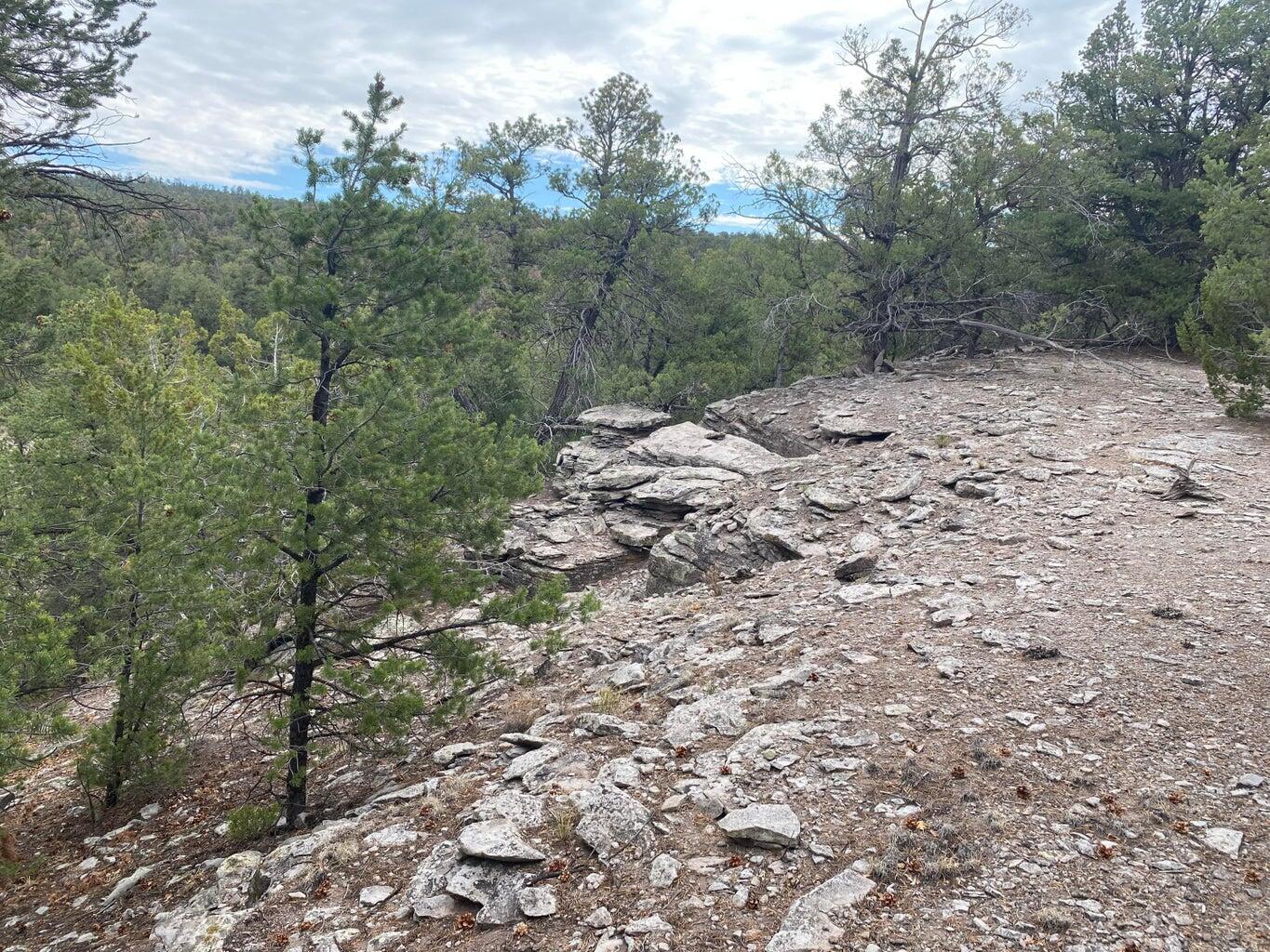 Lot 23 Sunflower Drive, Ramah, New Mexico image 50