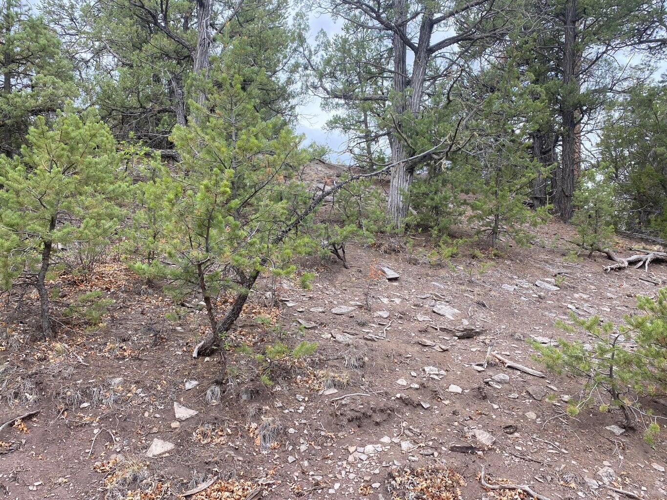 Lot 23 Sunflower Drive, Ramah, New Mexico image 19