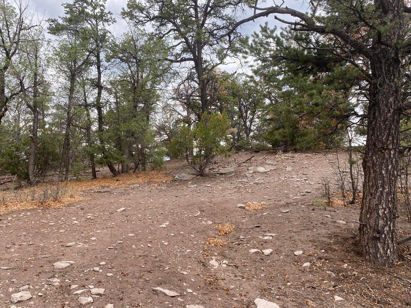 Lot 23 Sunflower Drive, Ramah, New Mexico image 22