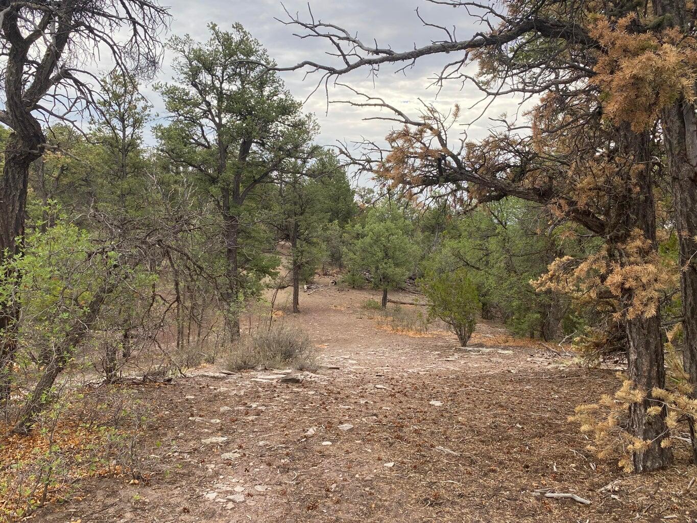 Lot 23 Sunflower Drive, Ramah, New Mexico image 38