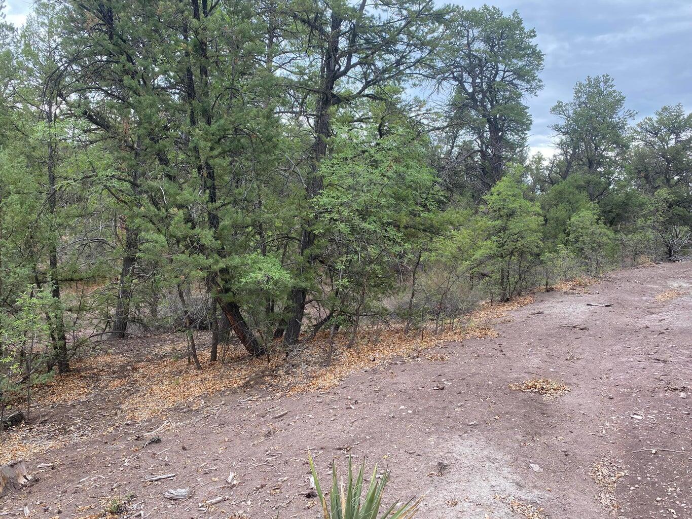 Lot 23 Sunflower Drive, Ramah, New Mexico image 17