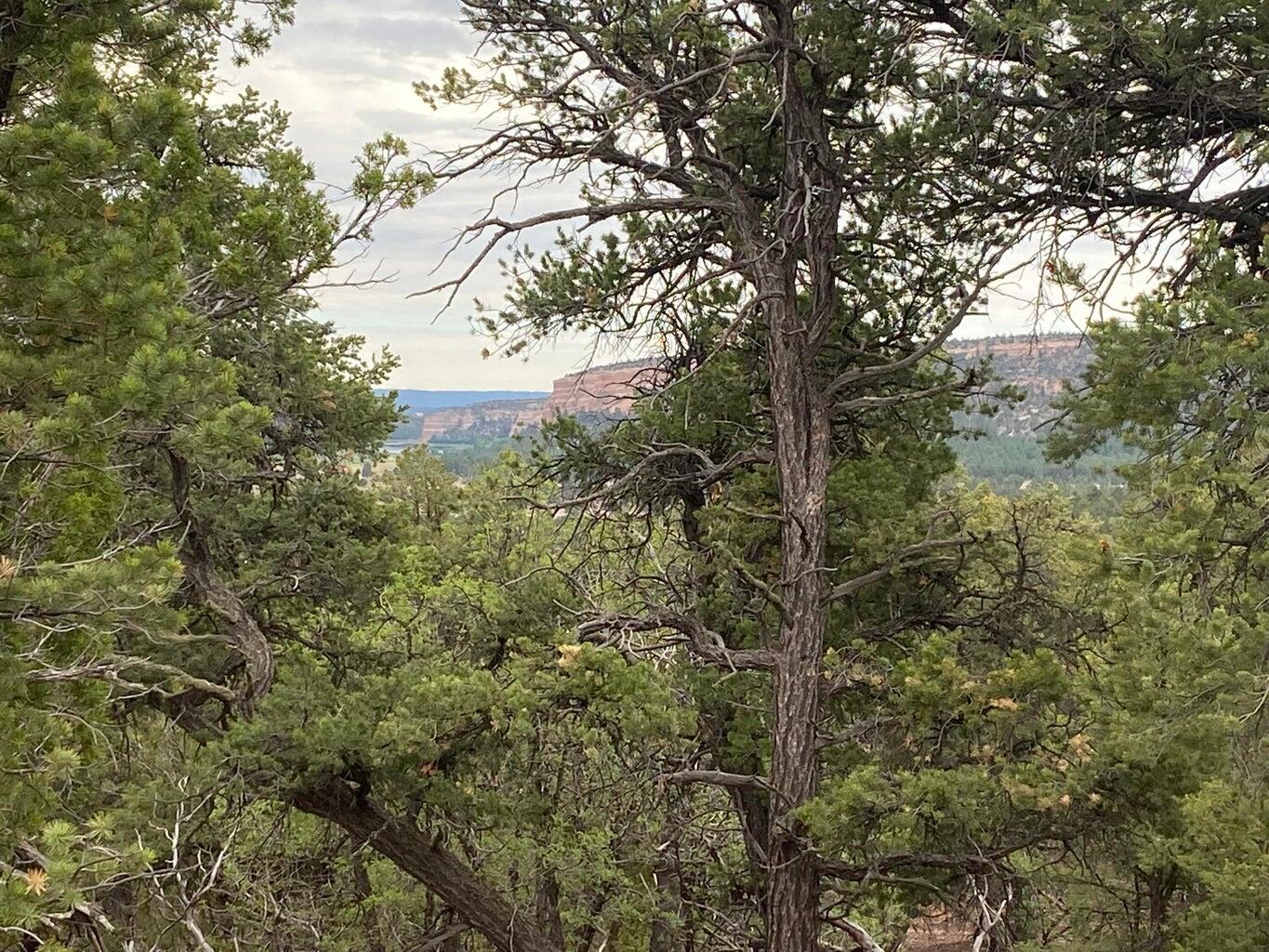 Lot 23 Sunflower Drive, Ramah, New Mexico image 42