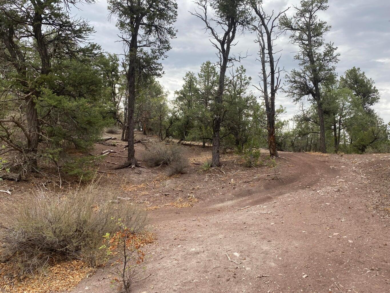 Lot 23 Sunflower Drive, Ramah, New Mexico image 21