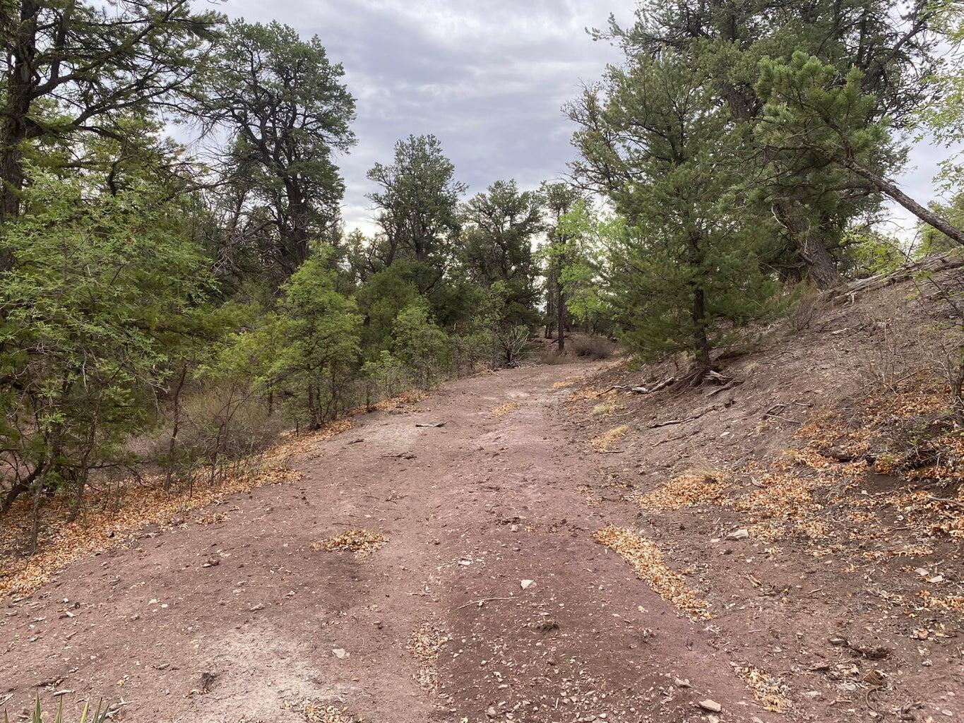 Lot 23 Sunflower Drive, Ramah, New Mexico image 18