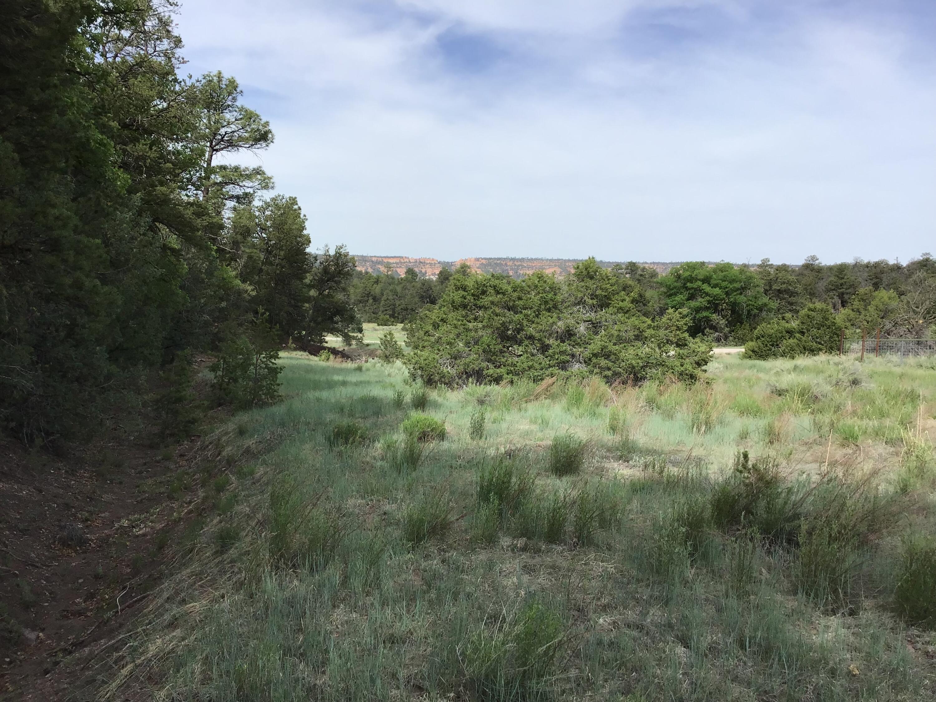 Lot 23 Sunflower Drive, Ramah, New Mexico image 5