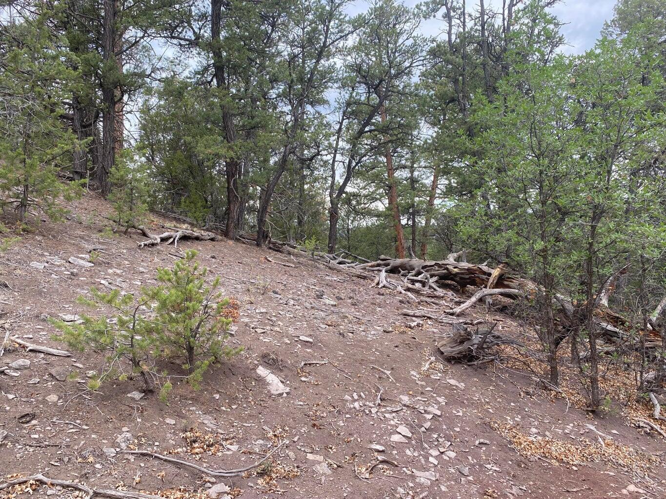 Lot 23 Sunflower Drive, Ramah, New Mexico image 20