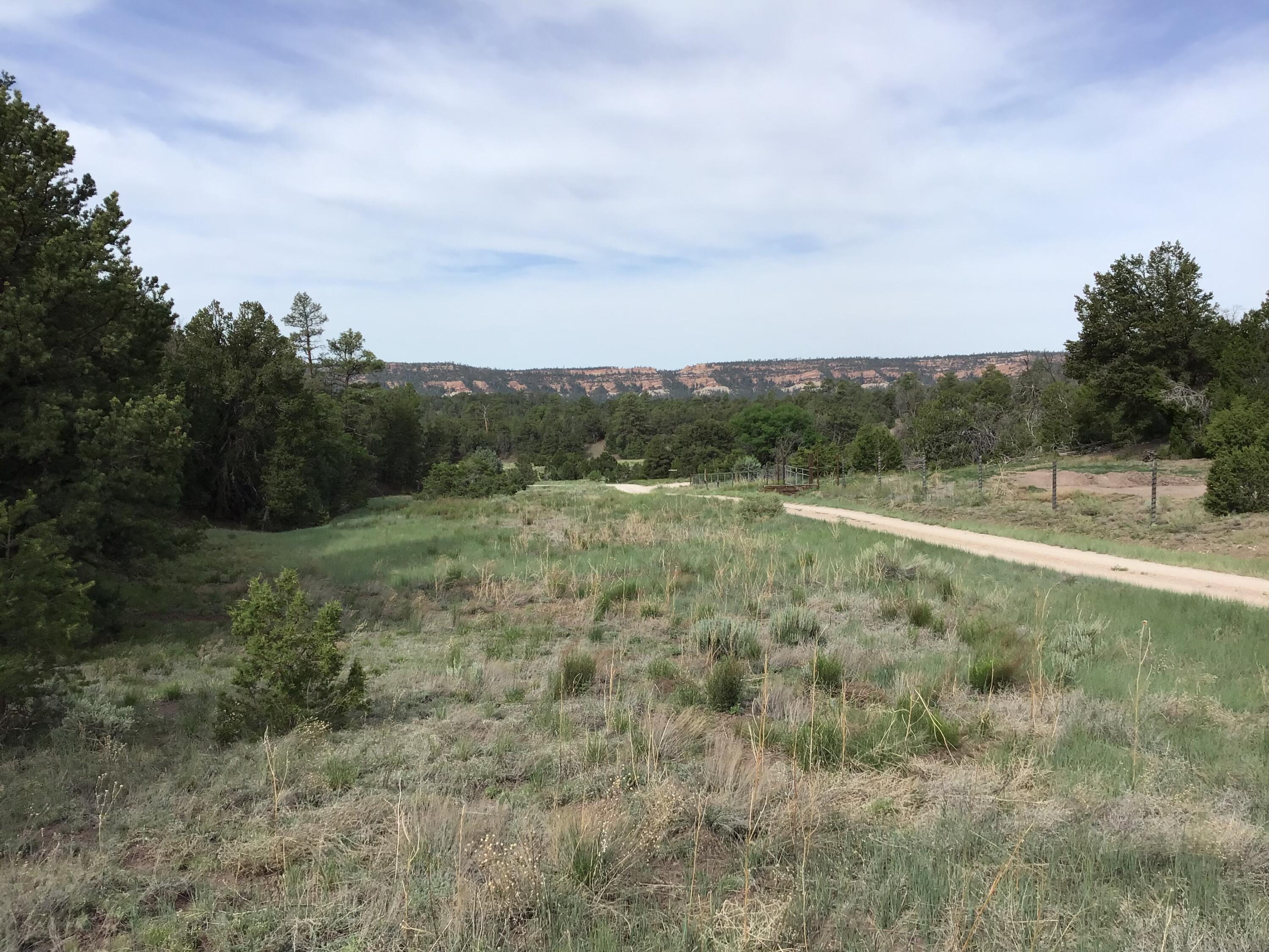 Lot 23 Sunflower Drive, Ramah, New Mexico image 6