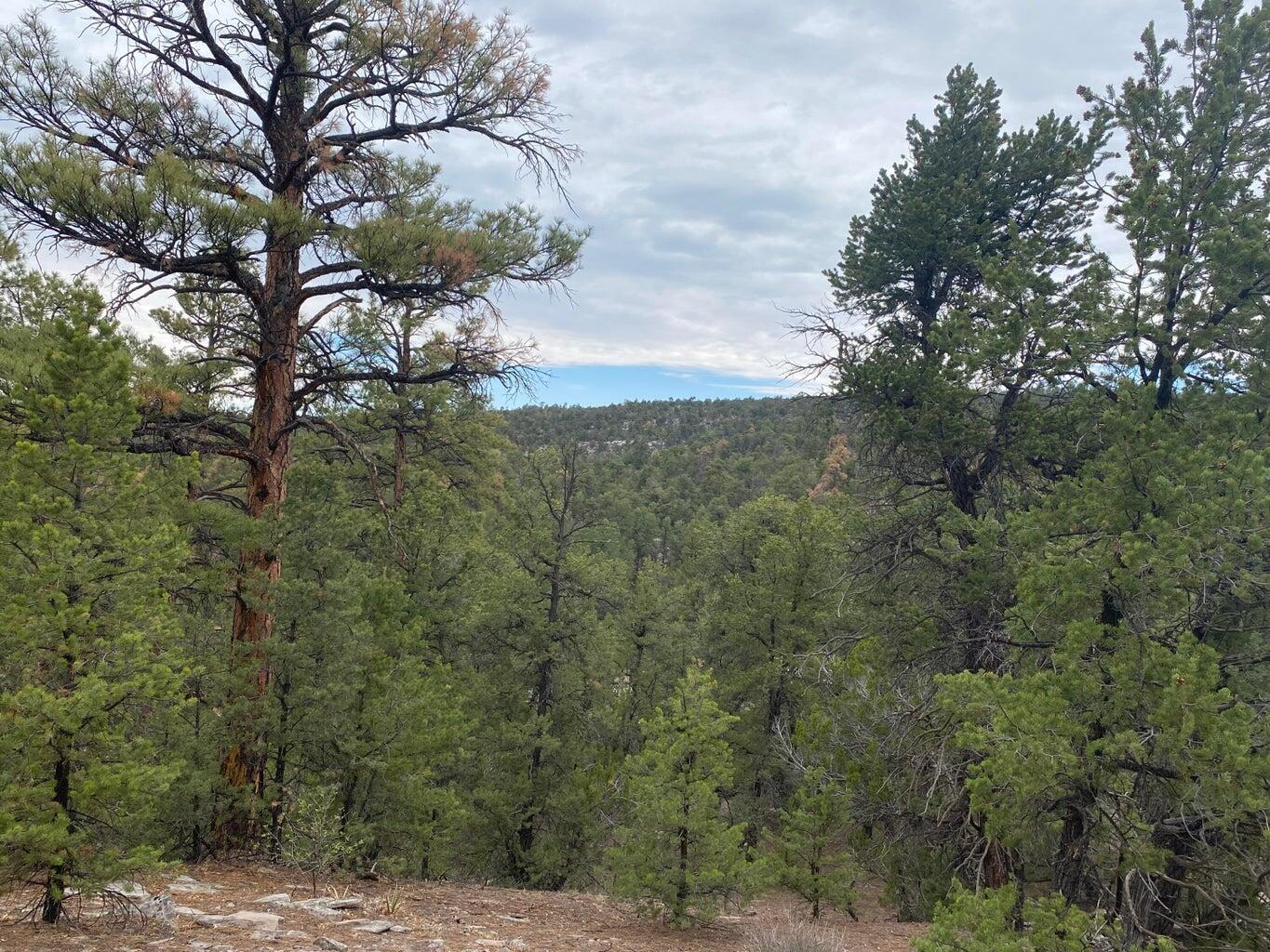 Lot 23 Sunflower Drive, Ramah, New Mexico image 40