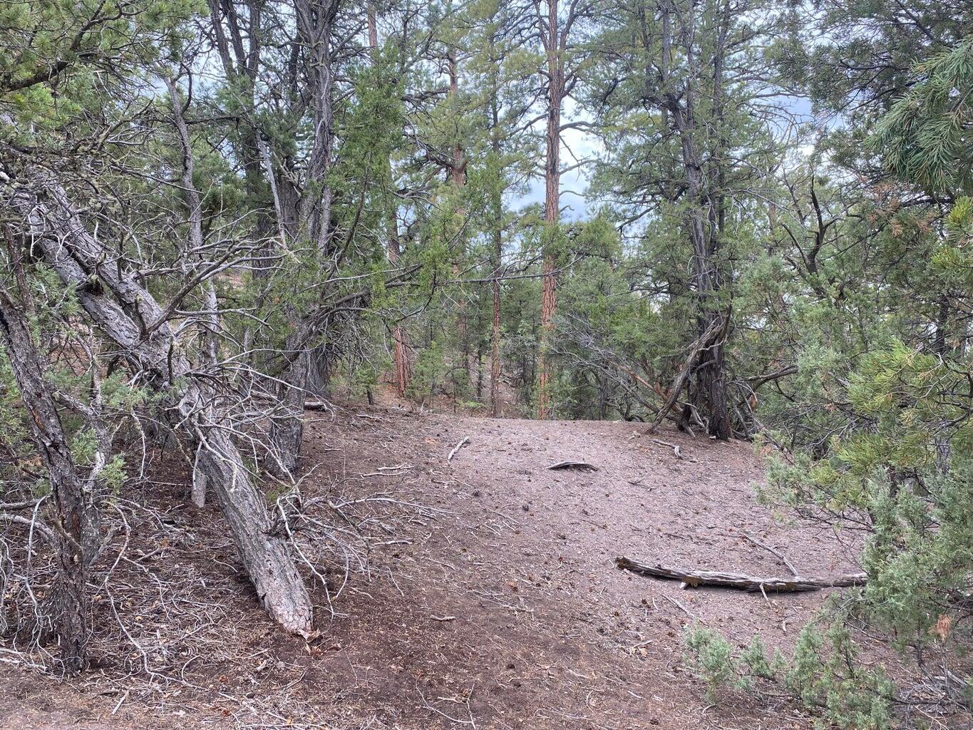 Lot 23 Sunflower Drive, Ramah, New Mexico image 14