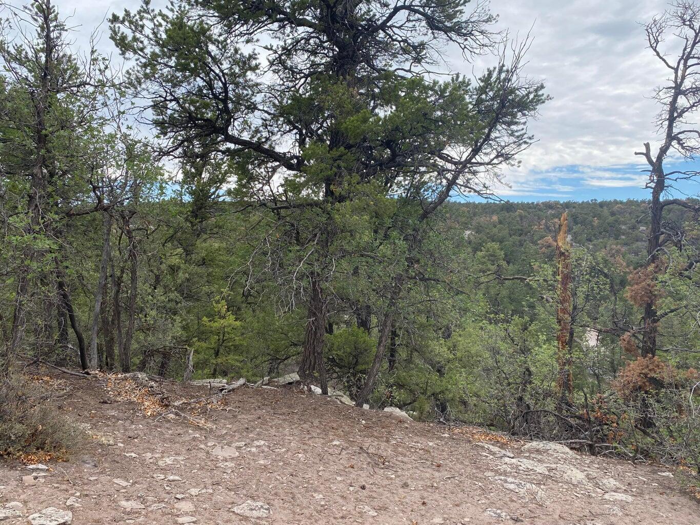 Lot 23 Sunflower Drive, Ramah, New Mexico image 39