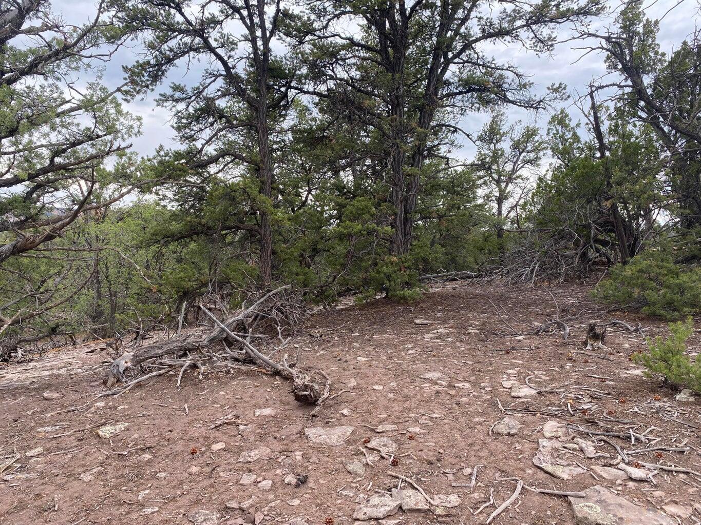 Lot 23 Sunflower Drive, Ramah, New Mexico image 35