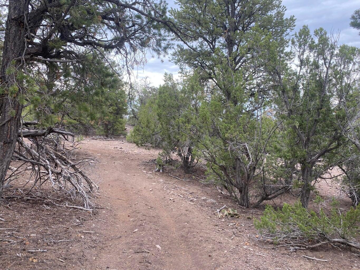 Lot 23 Sunflower Drive, Ramah, New Mexico image 24