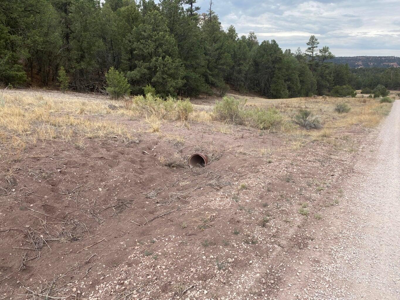 Lot 23 Sunflower Drive, Ramah, New Mexico image 10