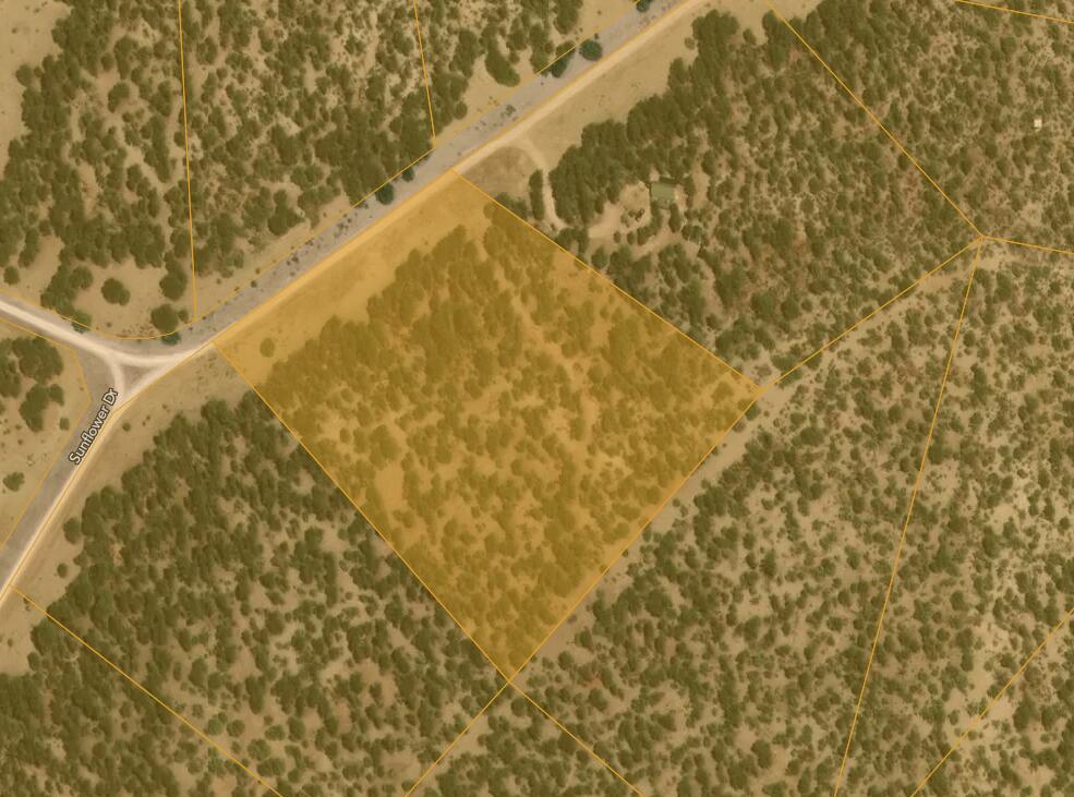 Lot 23 Sunflower Drive, Ramah, New Mexico image 2