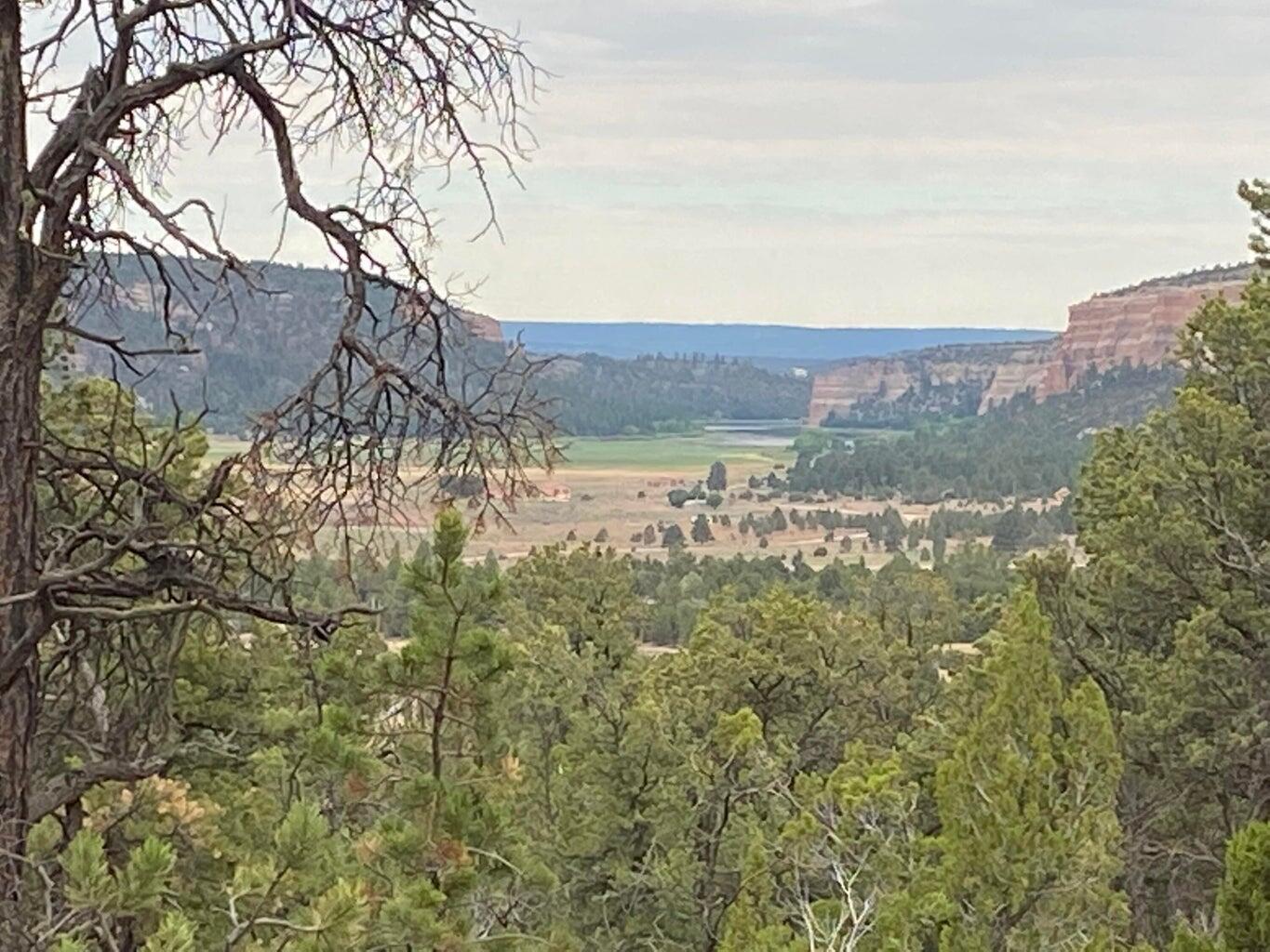 Lot 23 Sunflower Drive, Ramah, New Mexico image 1