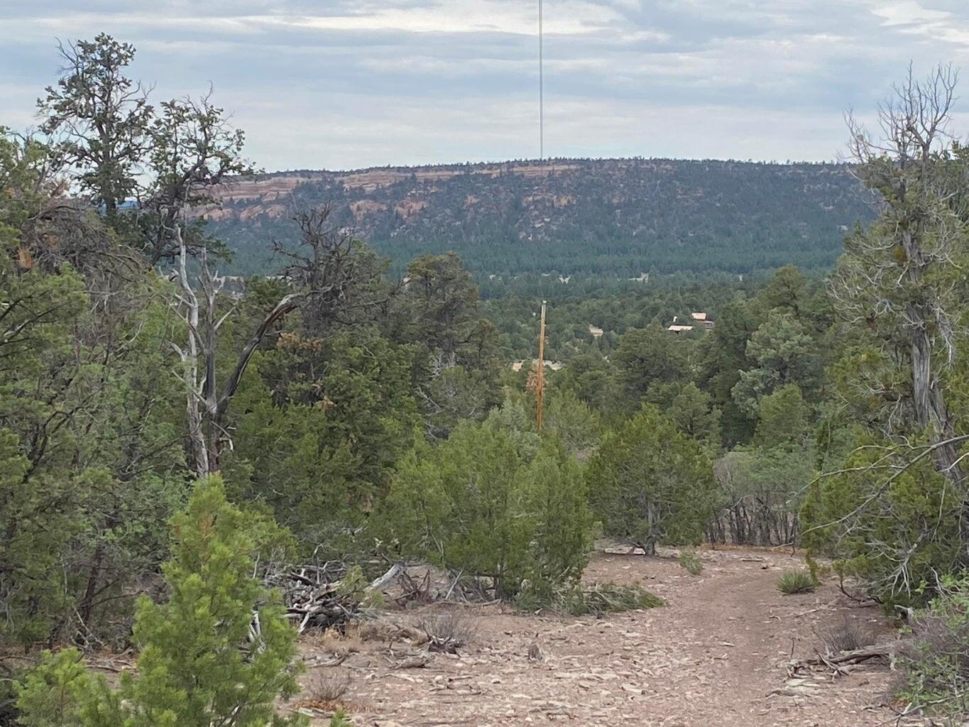 Lot 23 Sunflower Drive, Ramah, New Mexico image 9